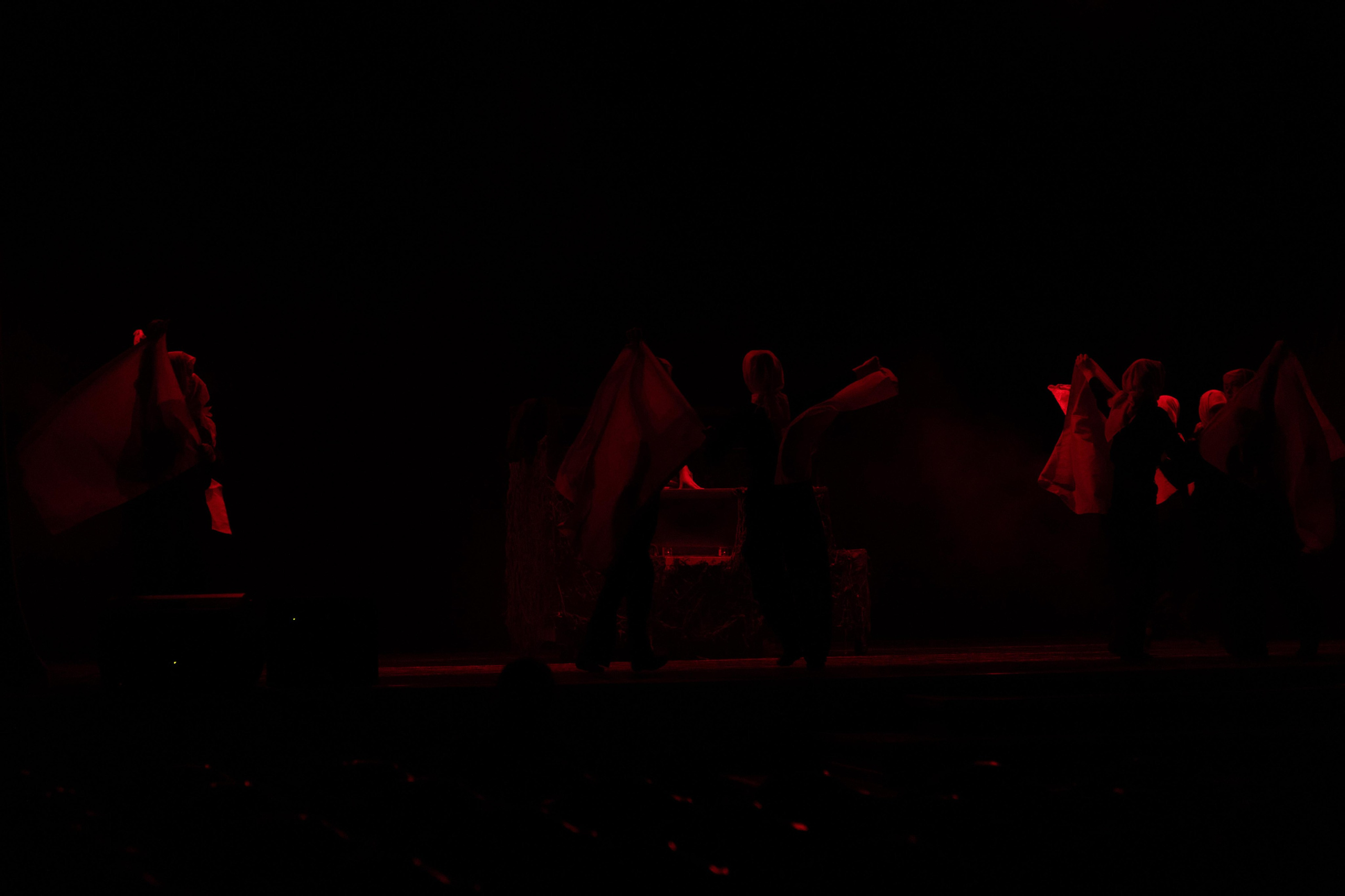 СГИИ — Дипломная работа. KiPPER Gallery — Фотограф