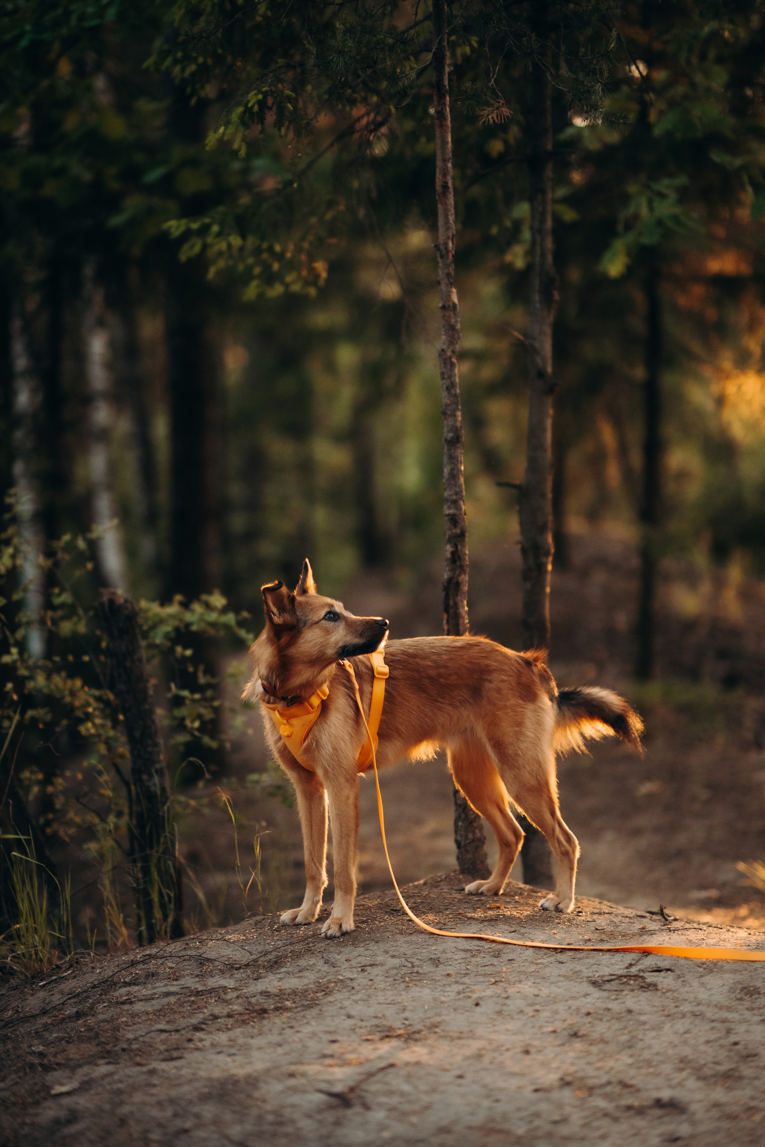 Яна и Санька. Главная