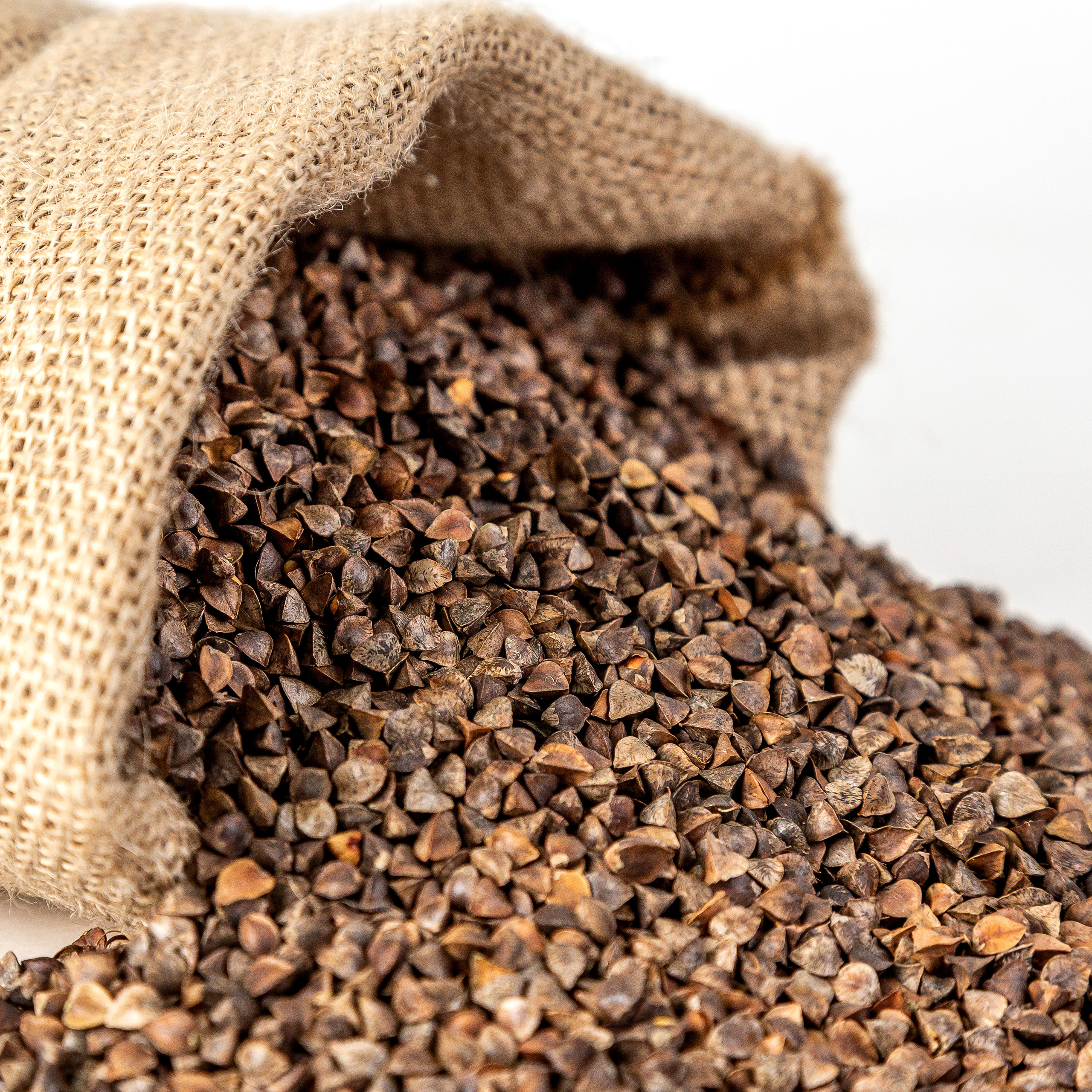 Зерновые культуры. Фотограф Барнаул Фатыхов Тимур