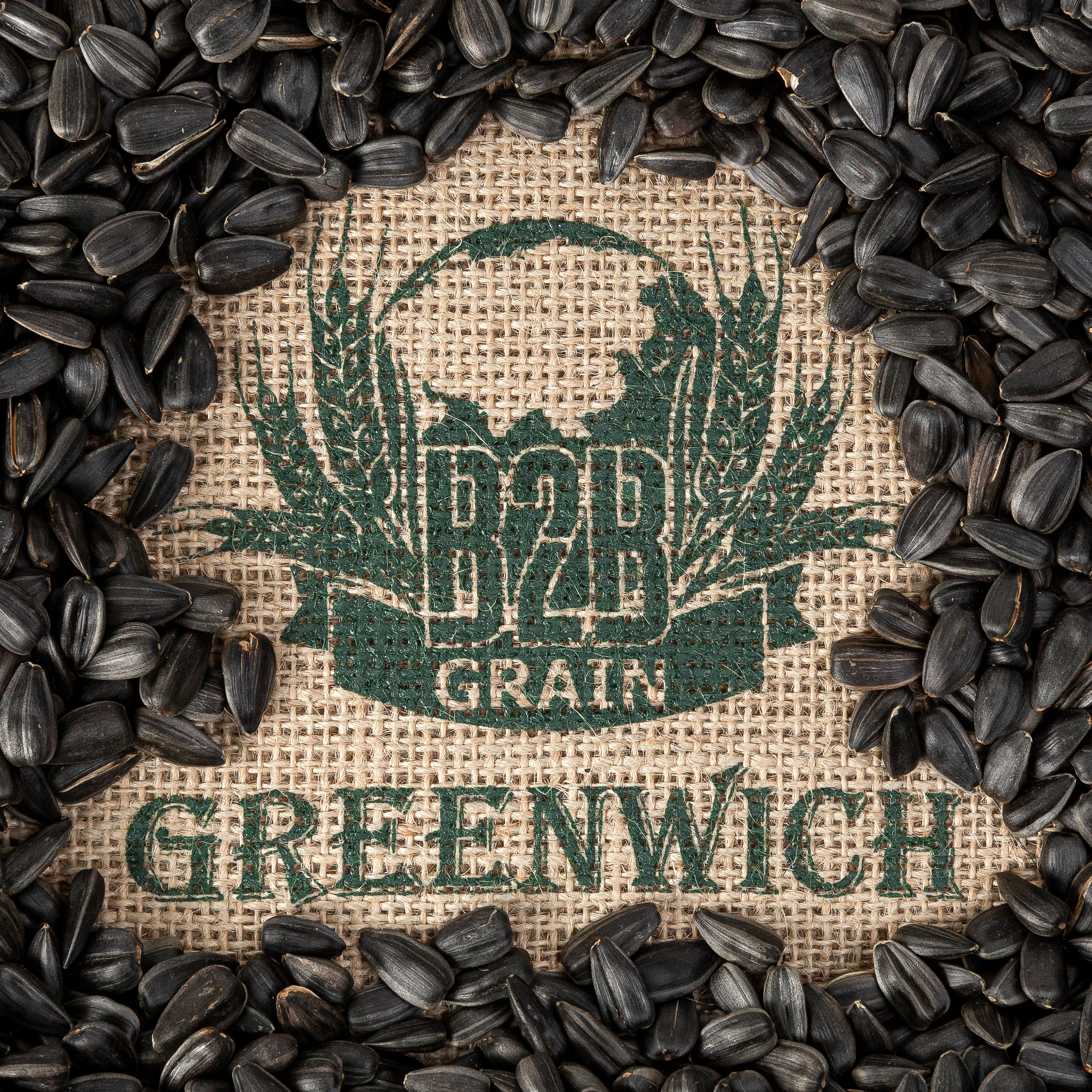 Зерновые культуры. Фотограф Барнаул Фатыхов Тимур