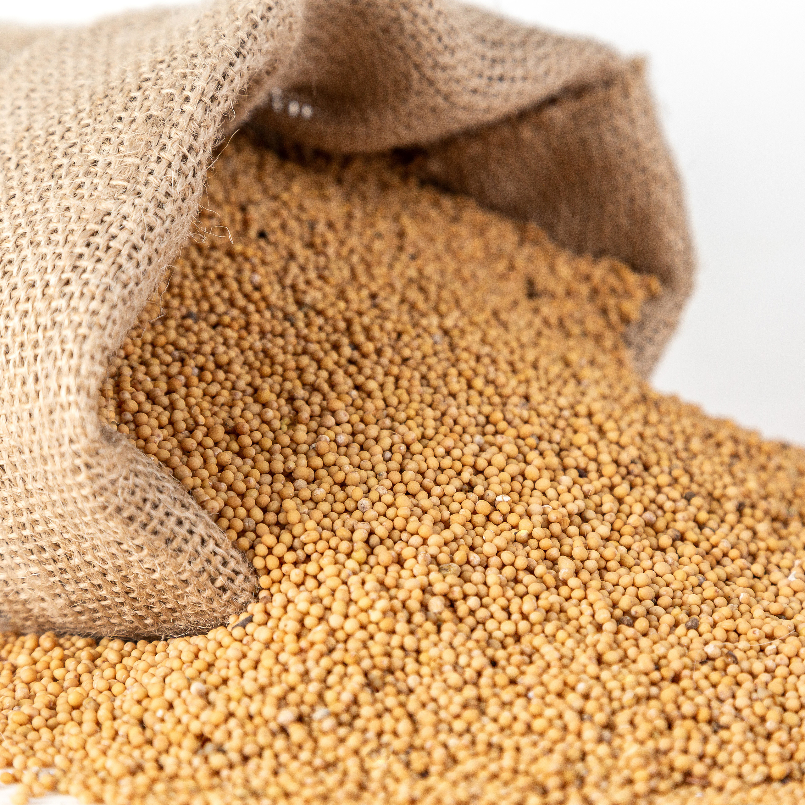 Зерновые культуры. Фотограф Барнаул Фатыхов Тимур