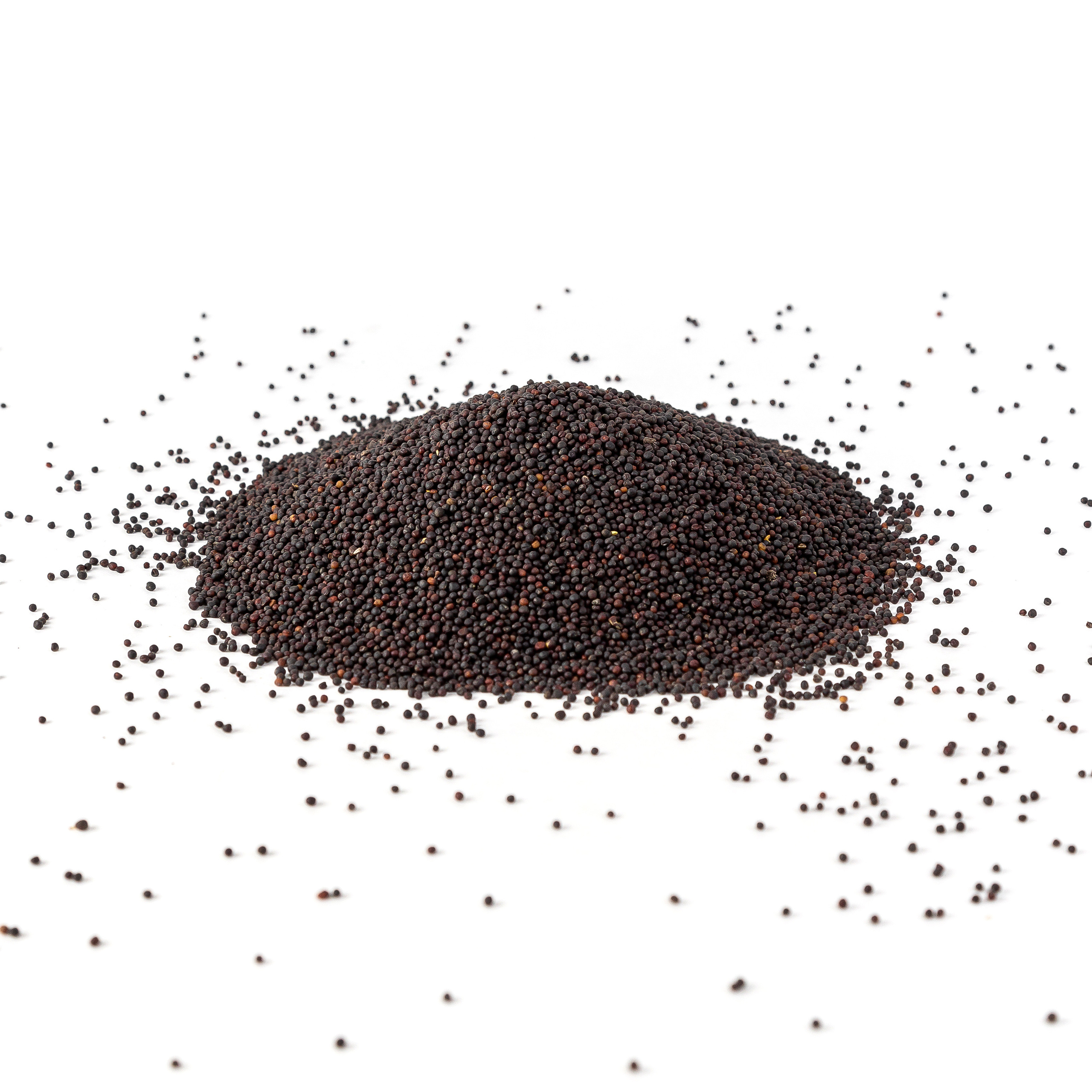 Зерновые культуры. Фотограф Барнаул Фатыхов Тимур