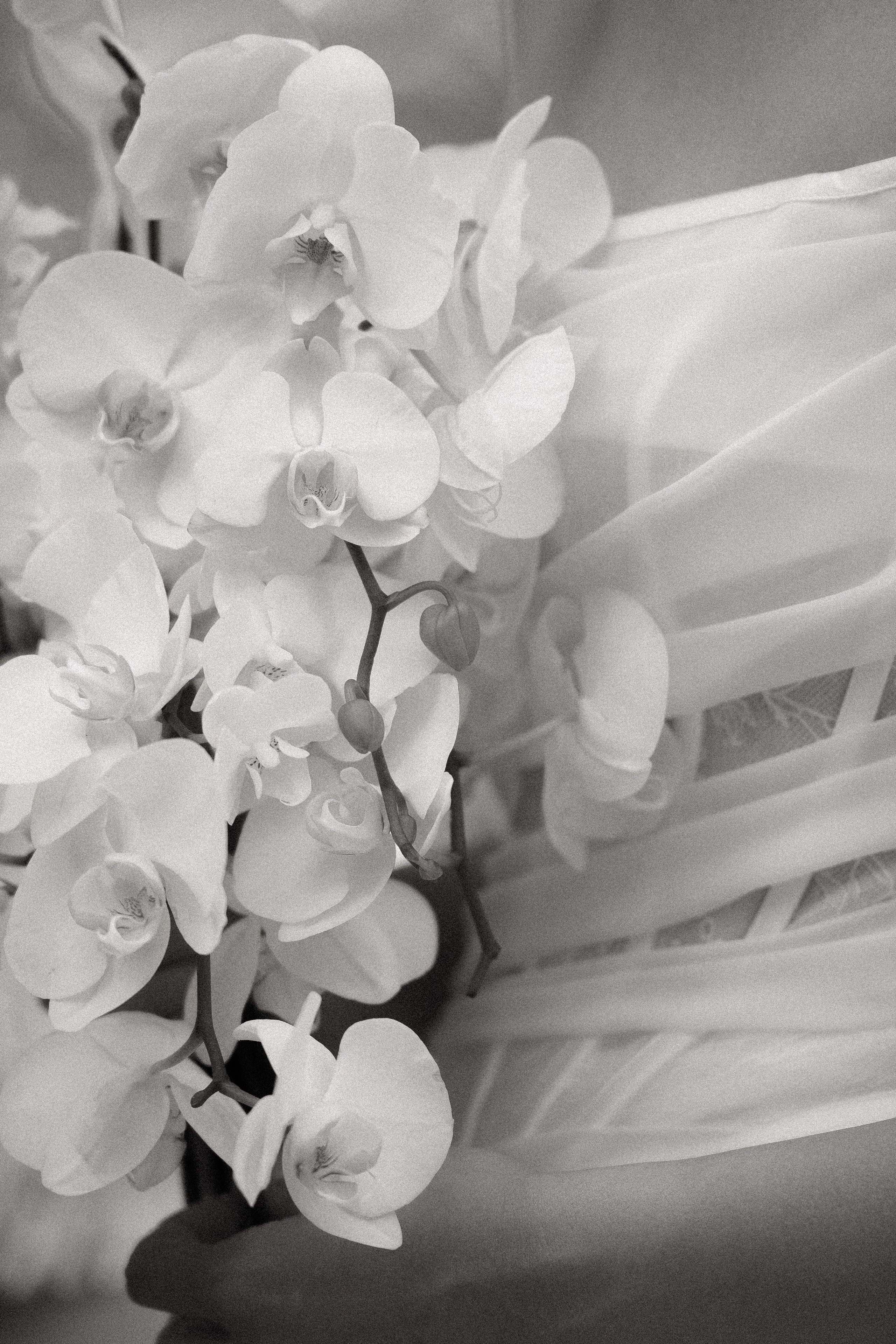 V & A. Свадебный и event-фотограф Иван Волнухин