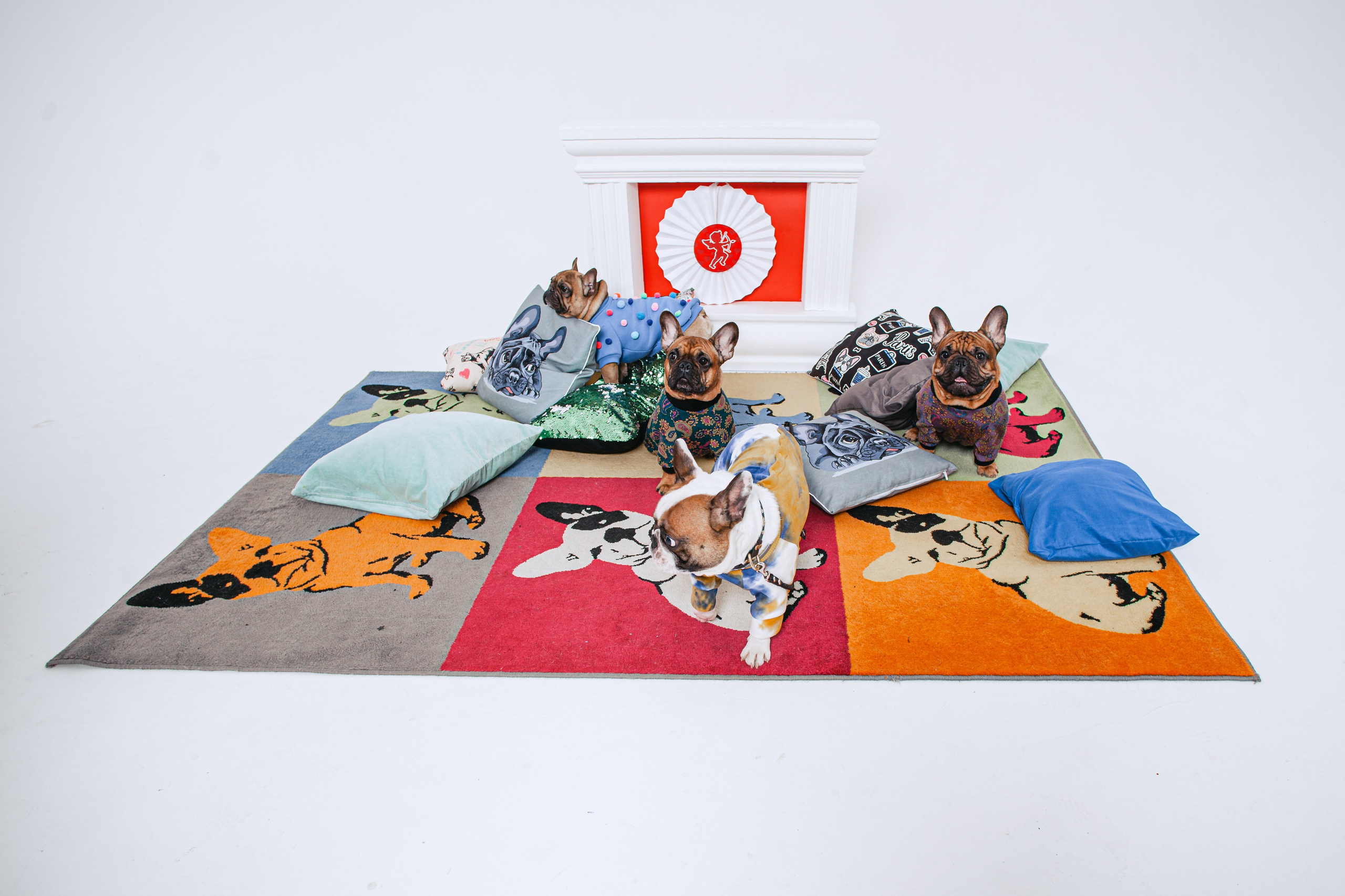 Пижамная вечеринка французских бульдогов и их хозяев. Фотограф-анималист Татьяна Степанова