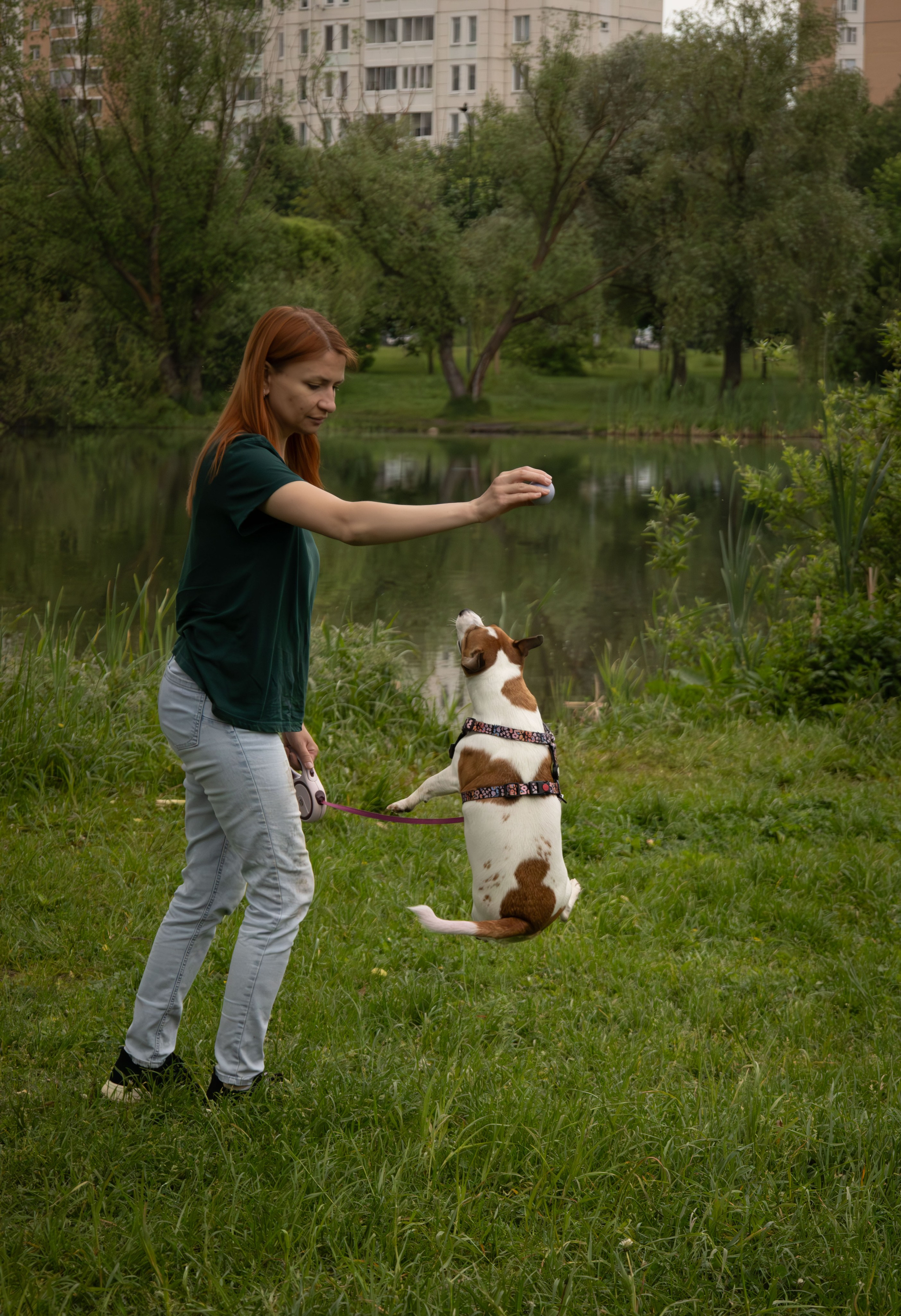 Моя маленькая спутница: Банни и Настя в Южнобутовском парке. Фотограф-анималист в Москве Екатерина Тихонова