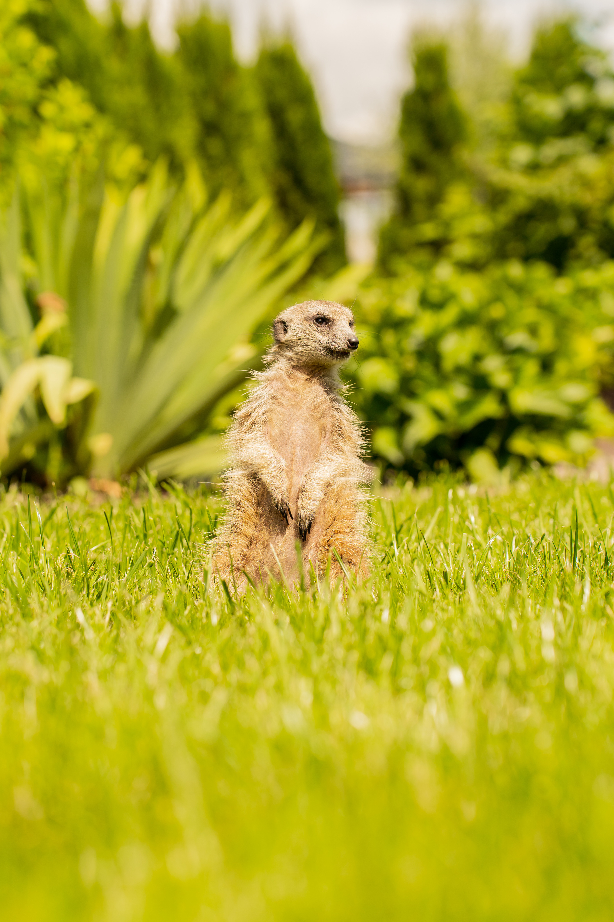 День рождения Никиты. Семейный и репортажный фотограф в Москве и МО Денис Бураков
