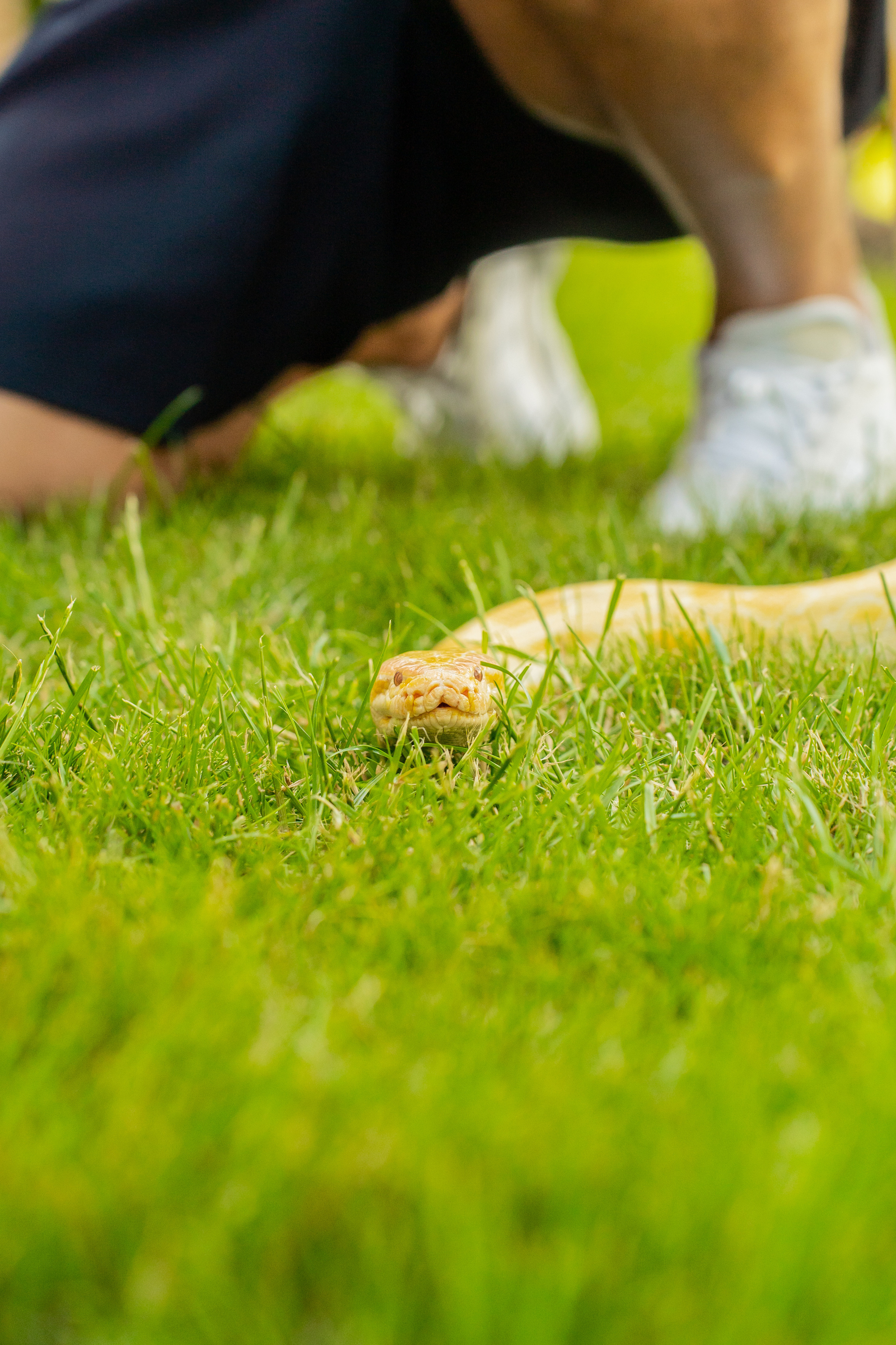 День рождения Никиты. Семейный и репортажный фотограф в Москве и МО Денис Бураков