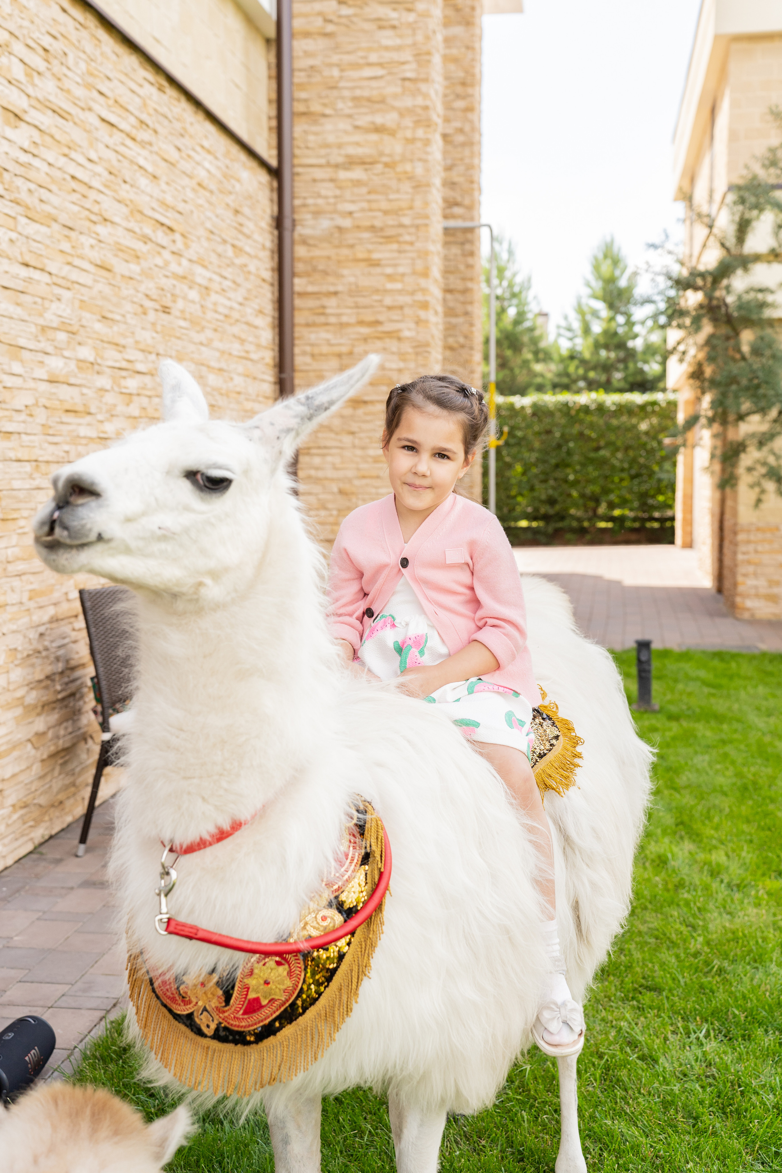 День рождения Никиты. Семейный и репортажный фотограф в Москве и МО Денис Бураков