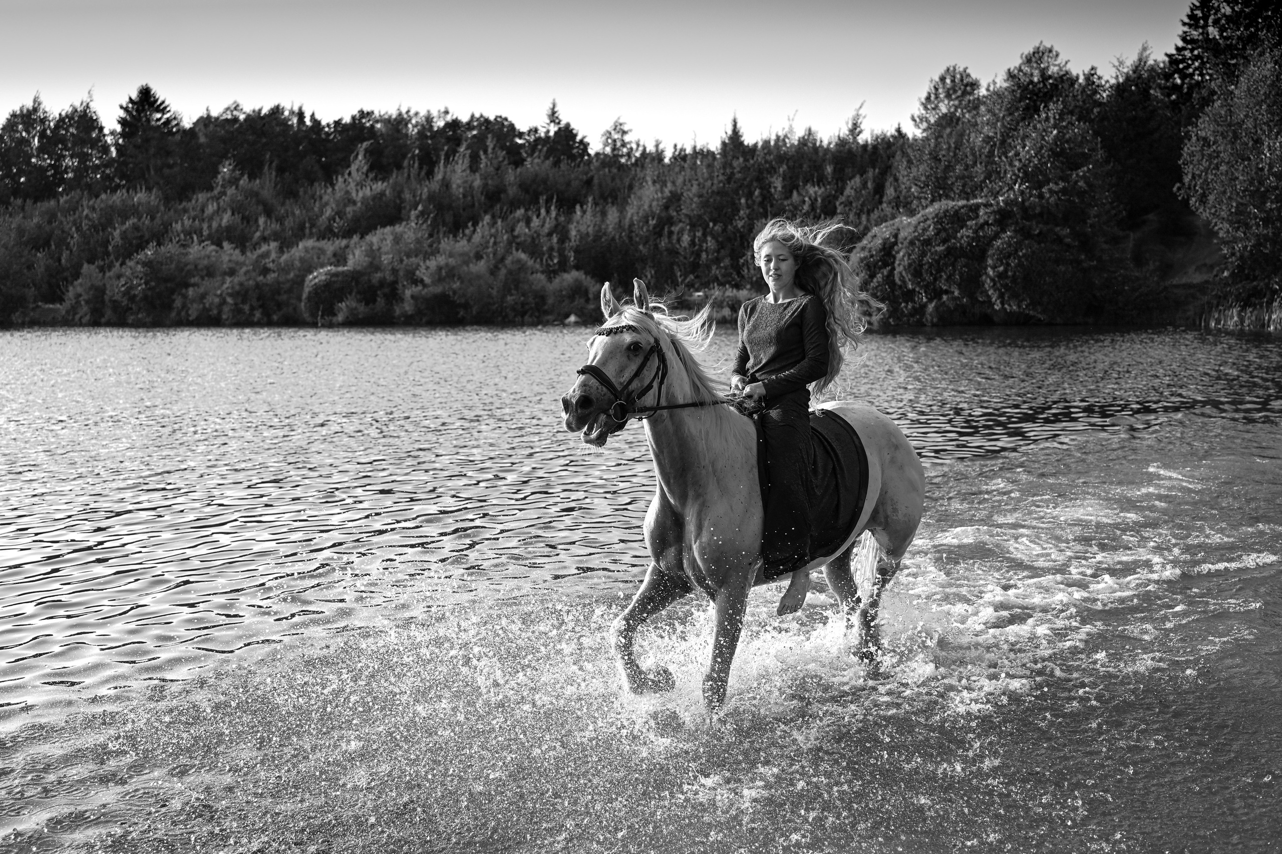 Конные портреты. Фотограф Зноева Ирина (Gvenya)