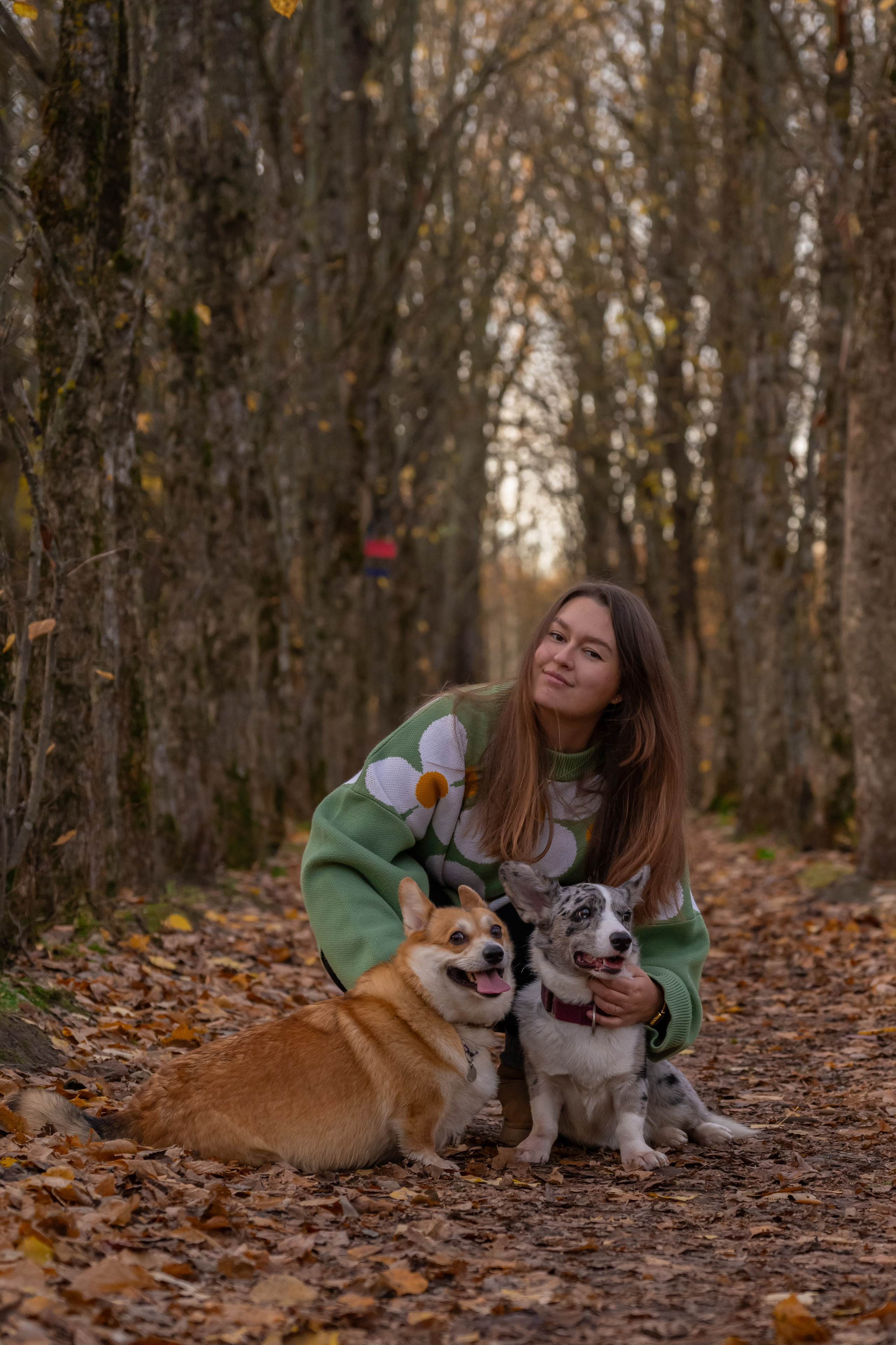Вы и ваши питомцы. Фотограф в Санкт-Петербурге Александра Ладыгина