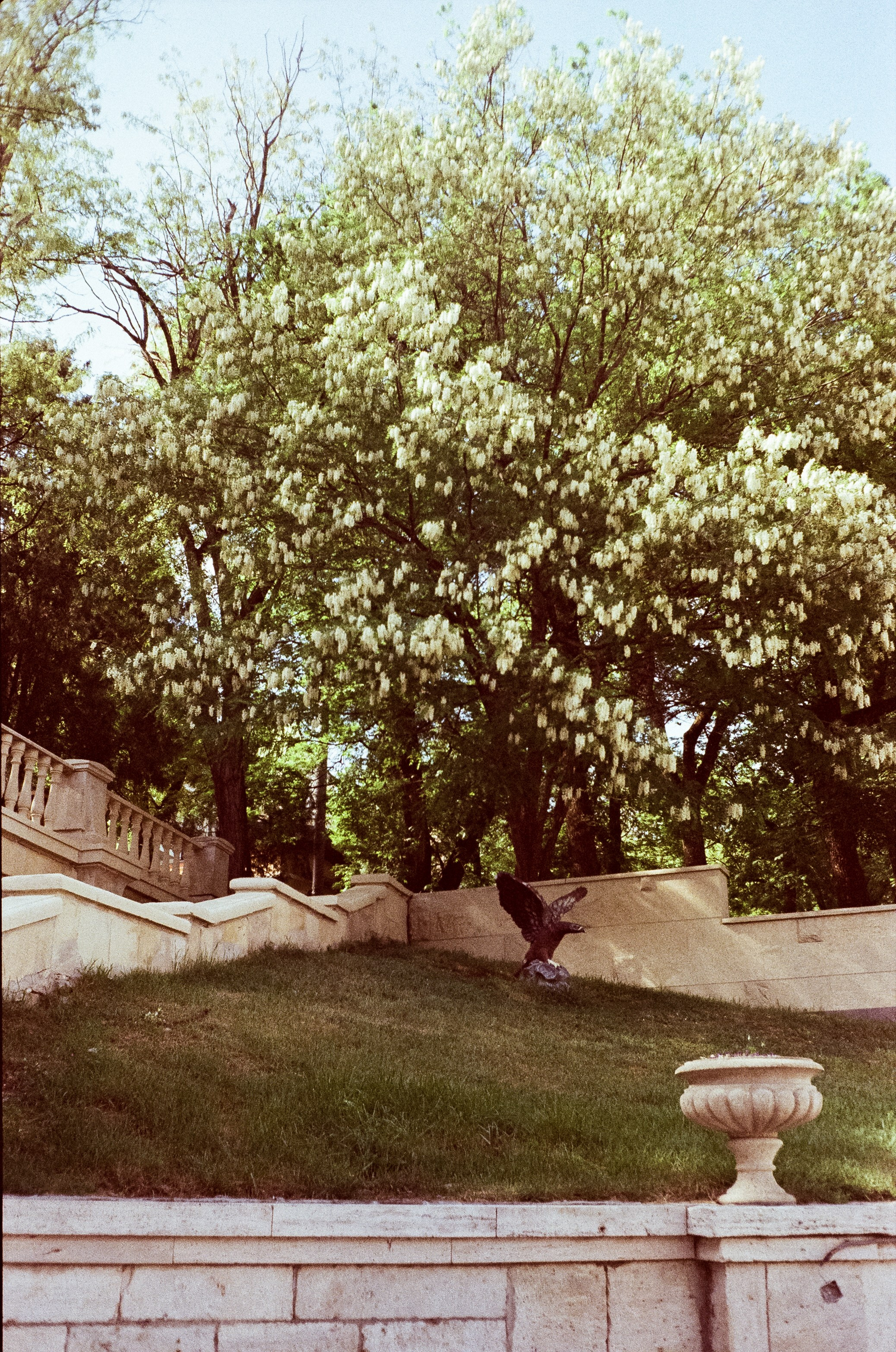 Ессентуки прогулка по городу / Minox 35GT / Agfa Vista 400 (просрочка)