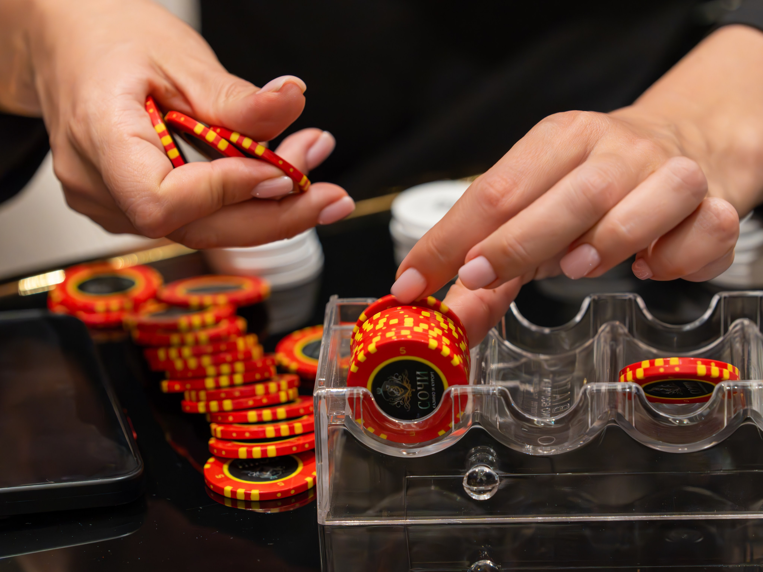 MICE мероприятие для компании «Базис». Репортажный фотограф в Красной Поляне и Сочи Павлюченко Екатерина