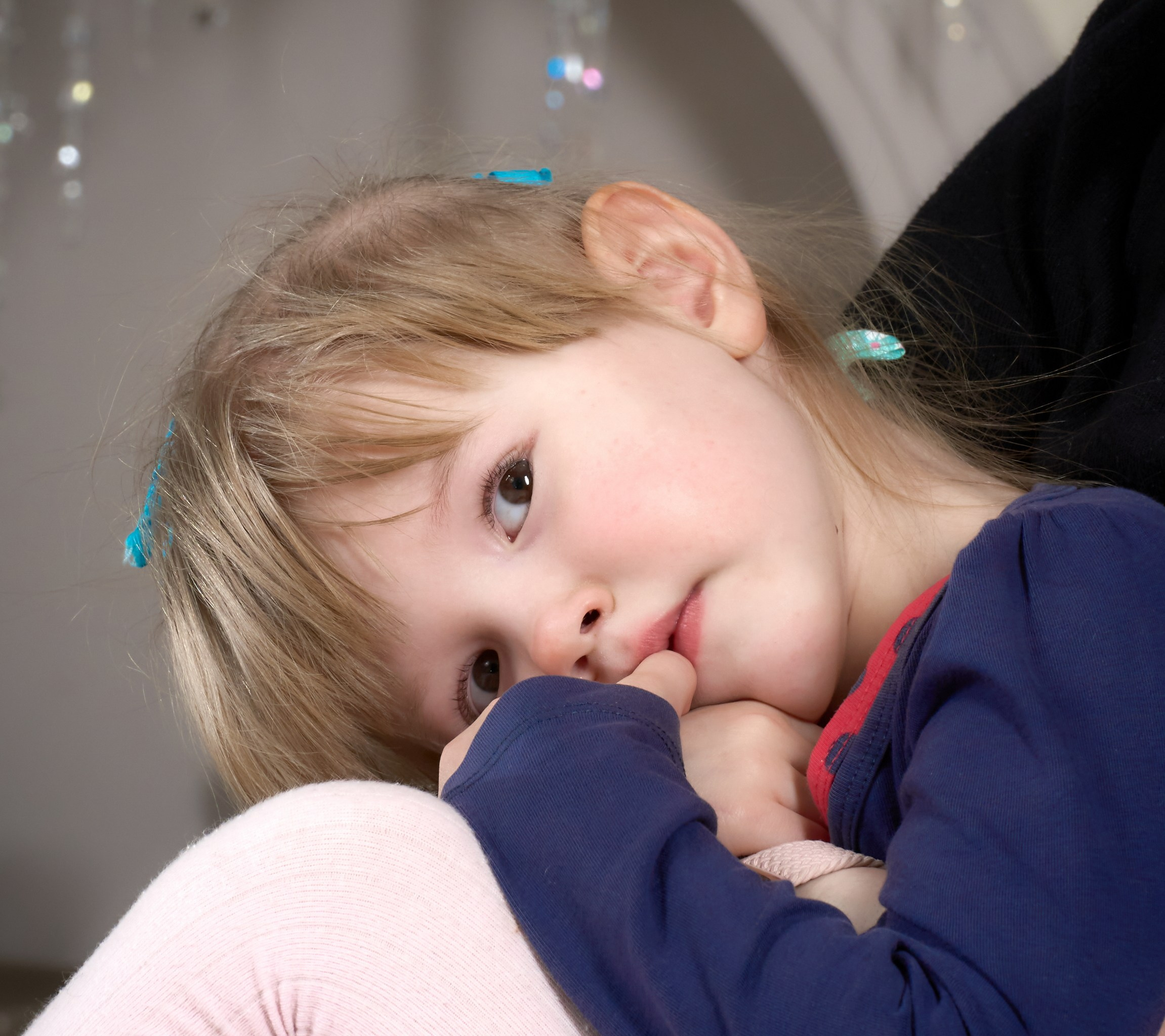 Семейная съемка с собаками в студии