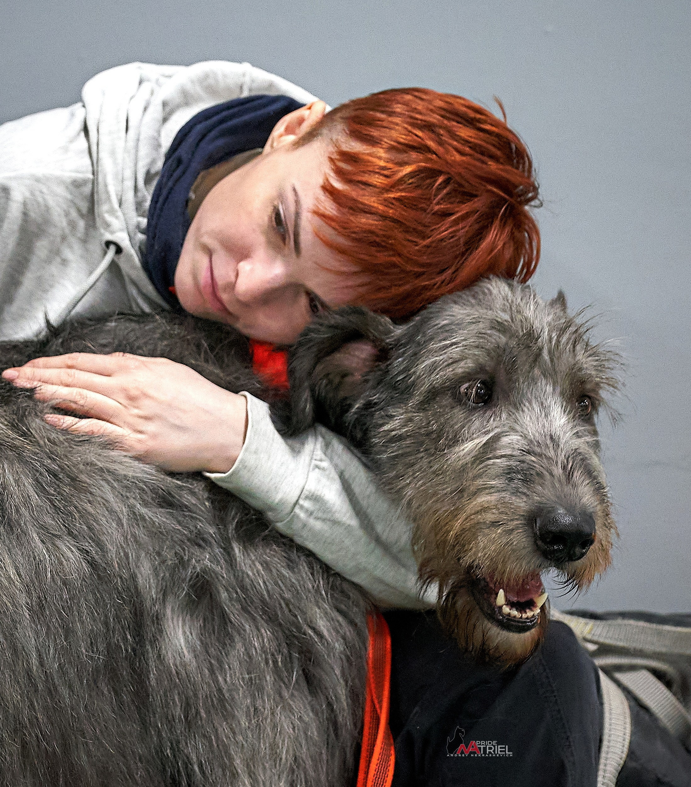 Картинки с выставки — галерея NATRIEL