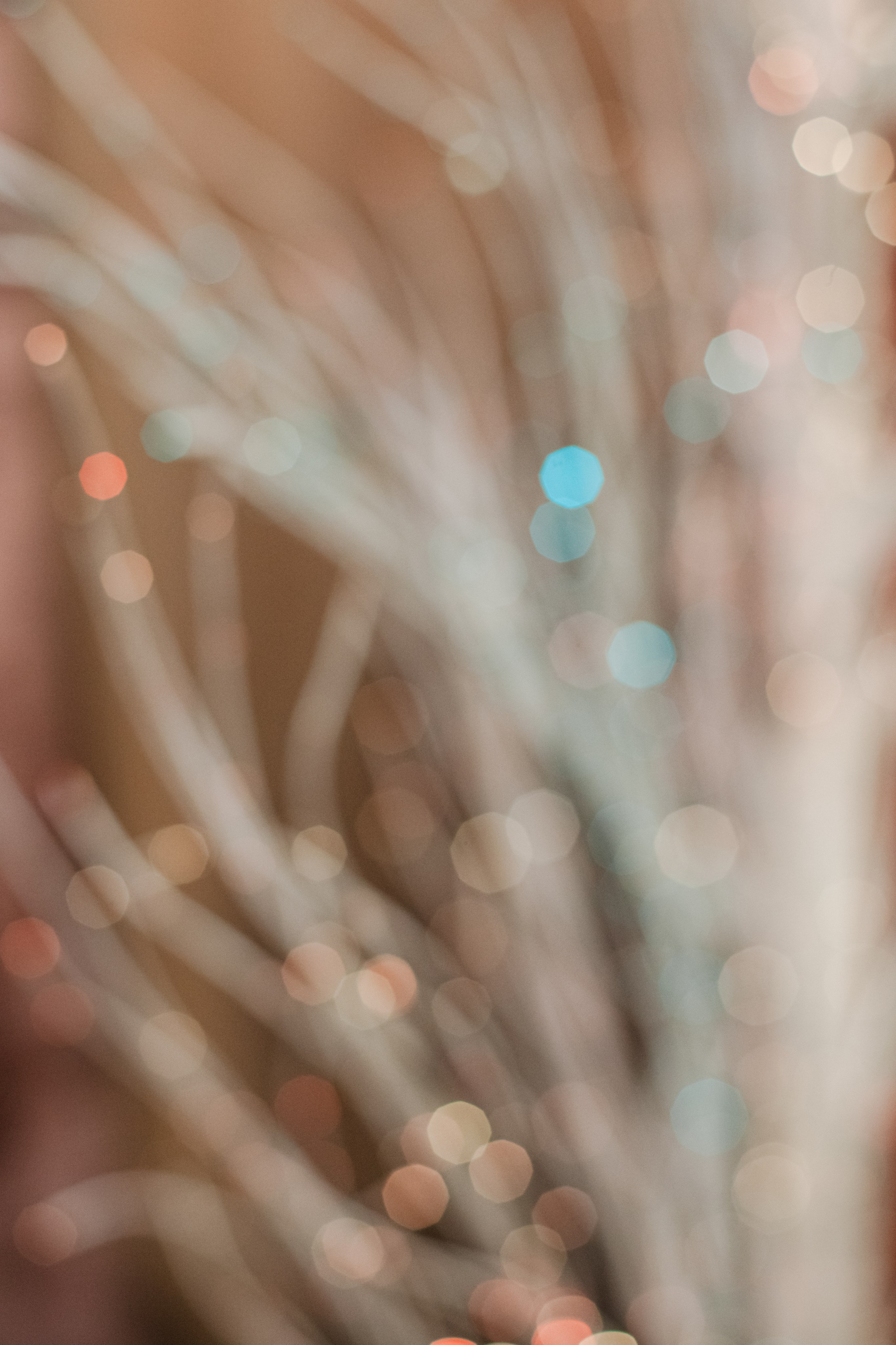 Бульёлка 2024. Фотограф-анималист Татьяна Степанова