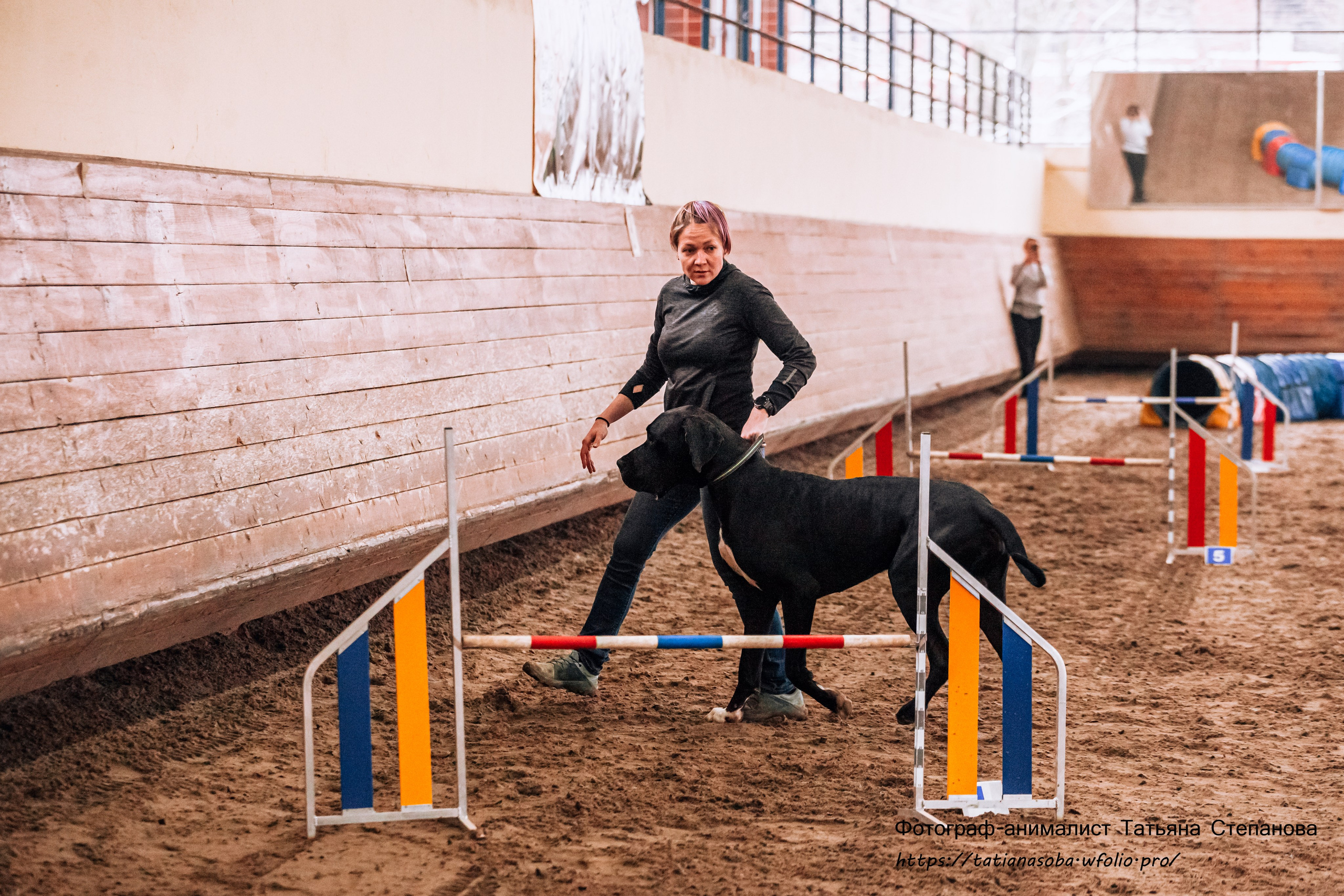 Соревнования по Аджилити 25.02.2024. Фотограф-анималист Татьяна Степанова