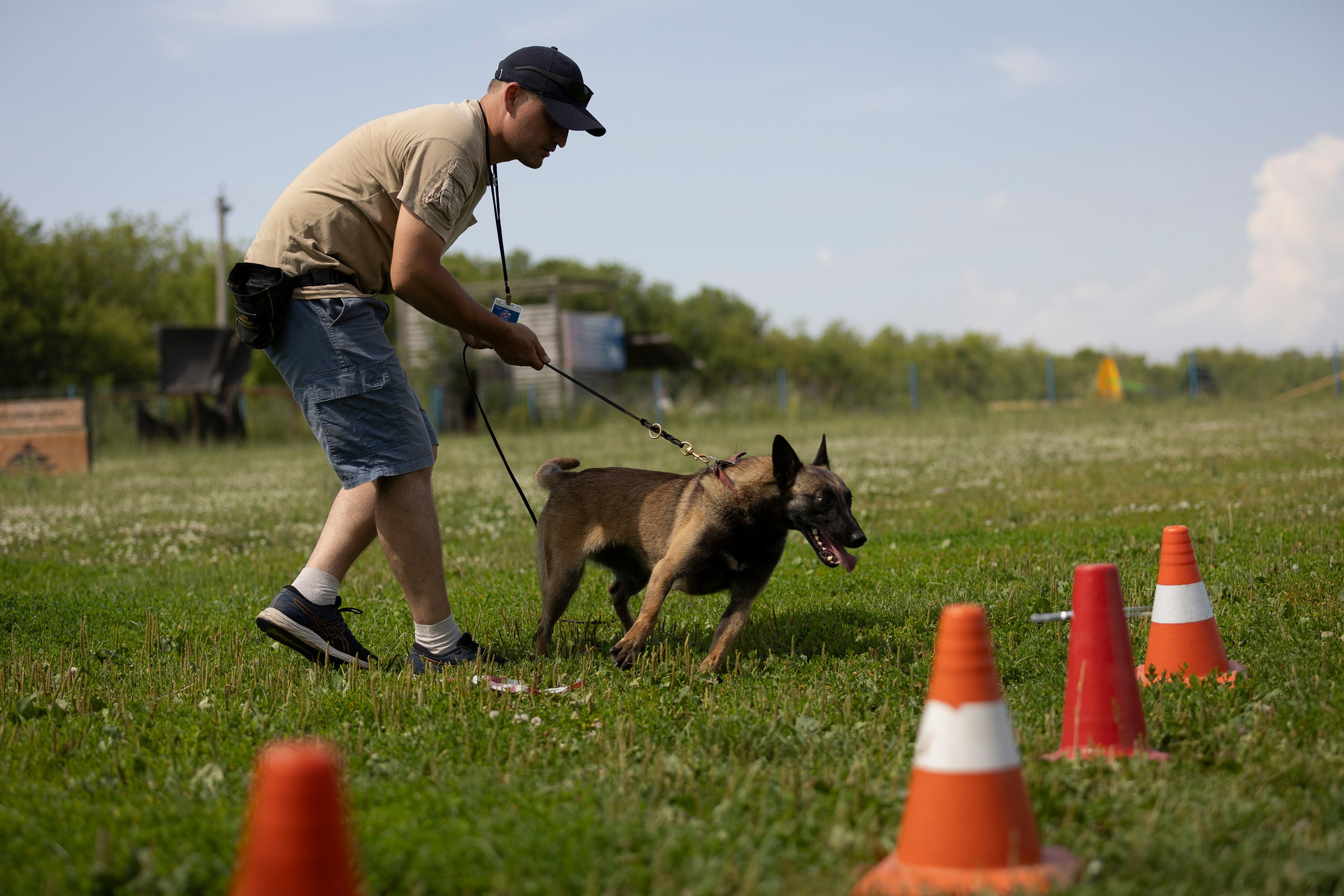 Семинар по поиску ВВ. Фотограф анималист, семейный фотограф, фотограф собак Комратова Мария. г. Москва