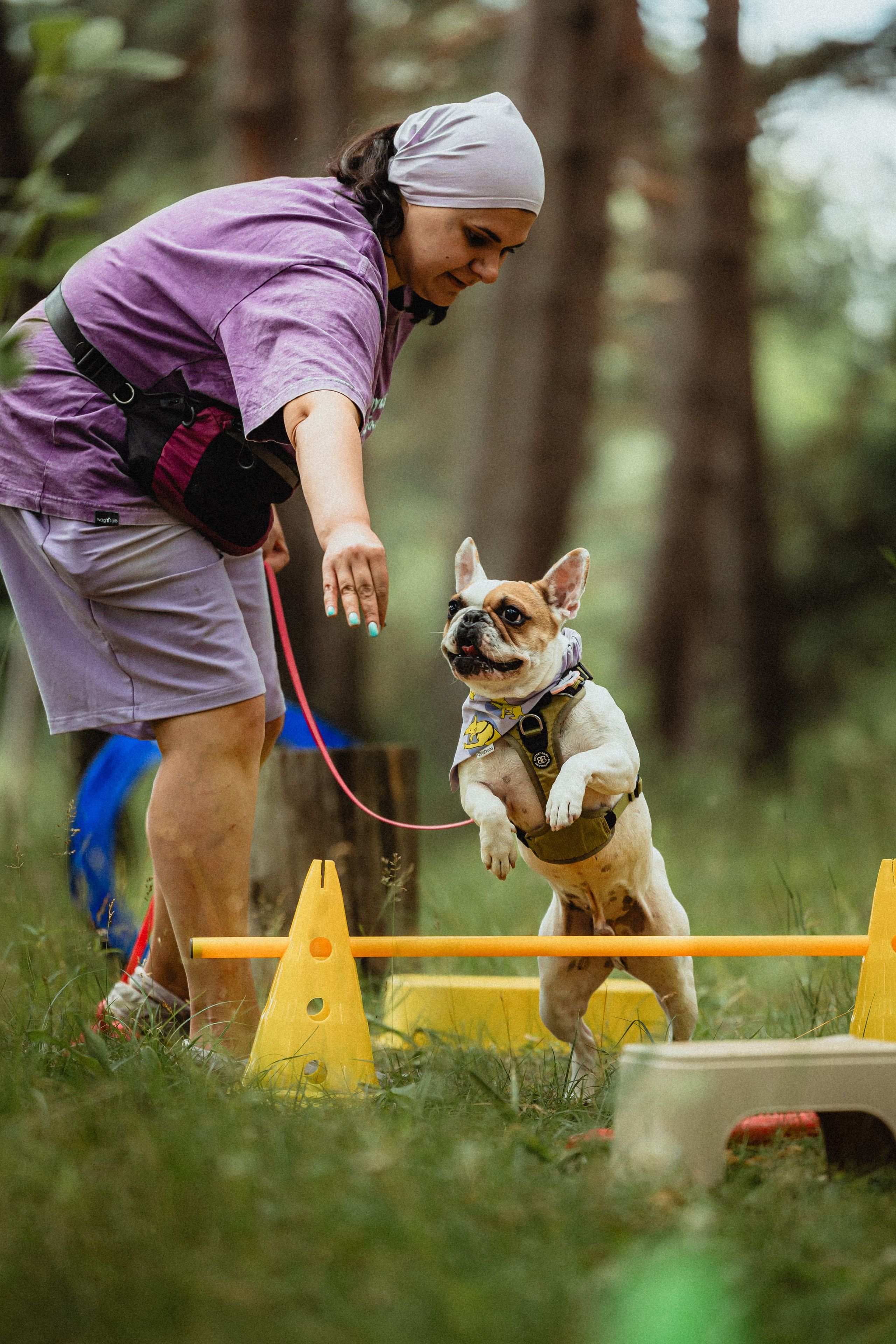 Выездной дог-тренинг от школы «Шерсть имею»