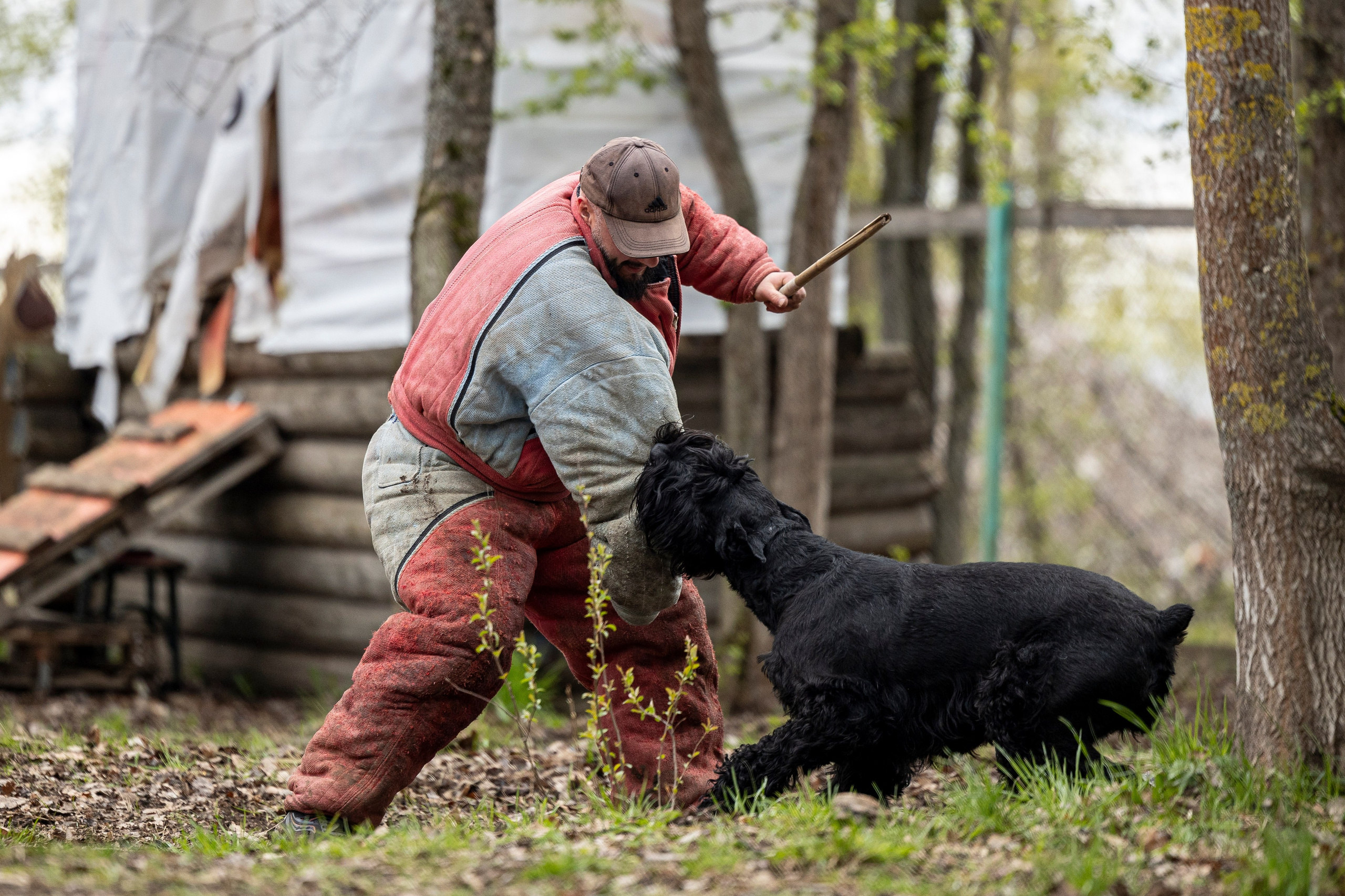 Квалификационные состязания по мондьорингу г. Вологда 11.05.24. Фотограф-анималист Анна Маринич