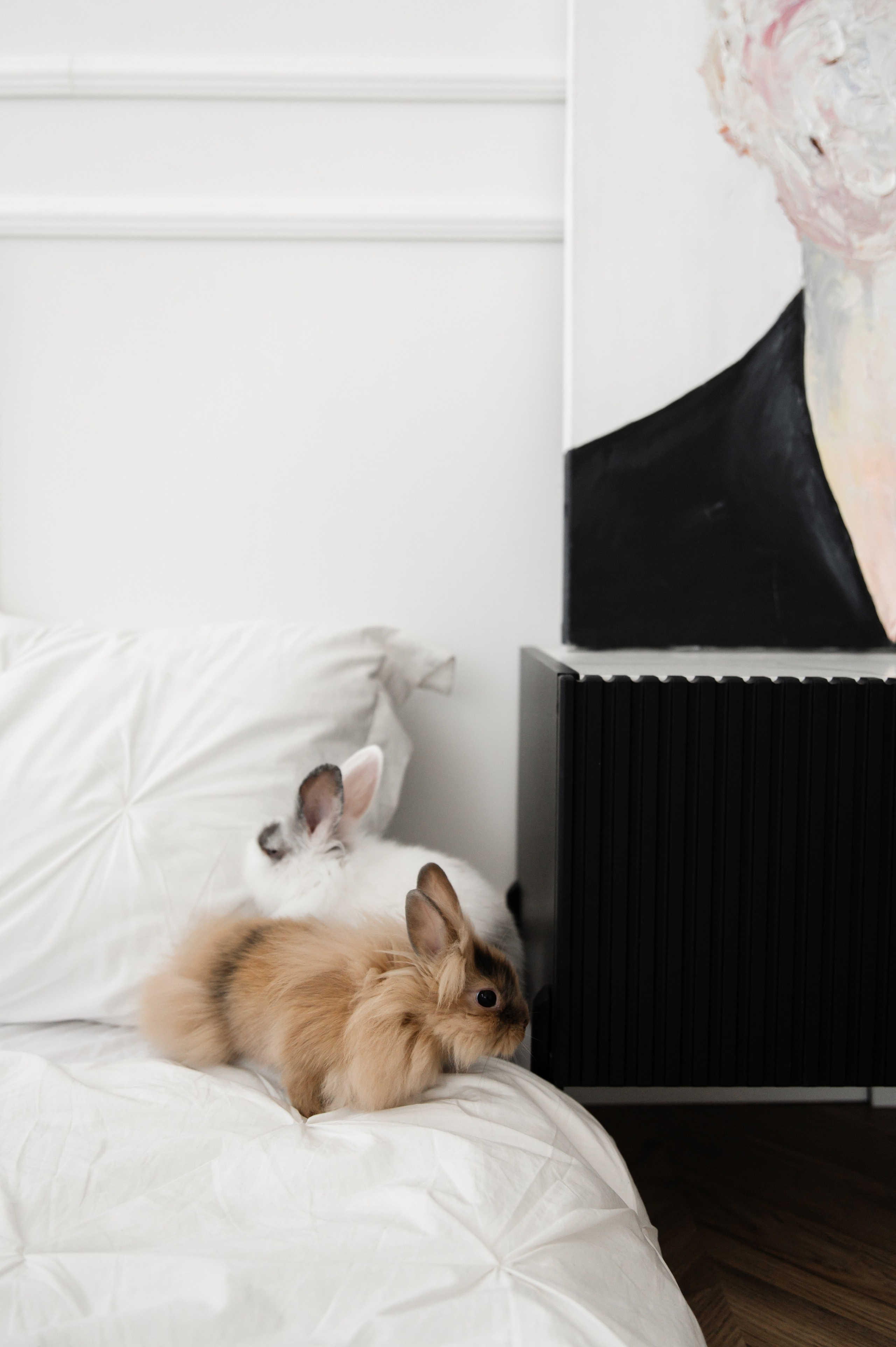 I&V. Фотограф Кирилл Верт