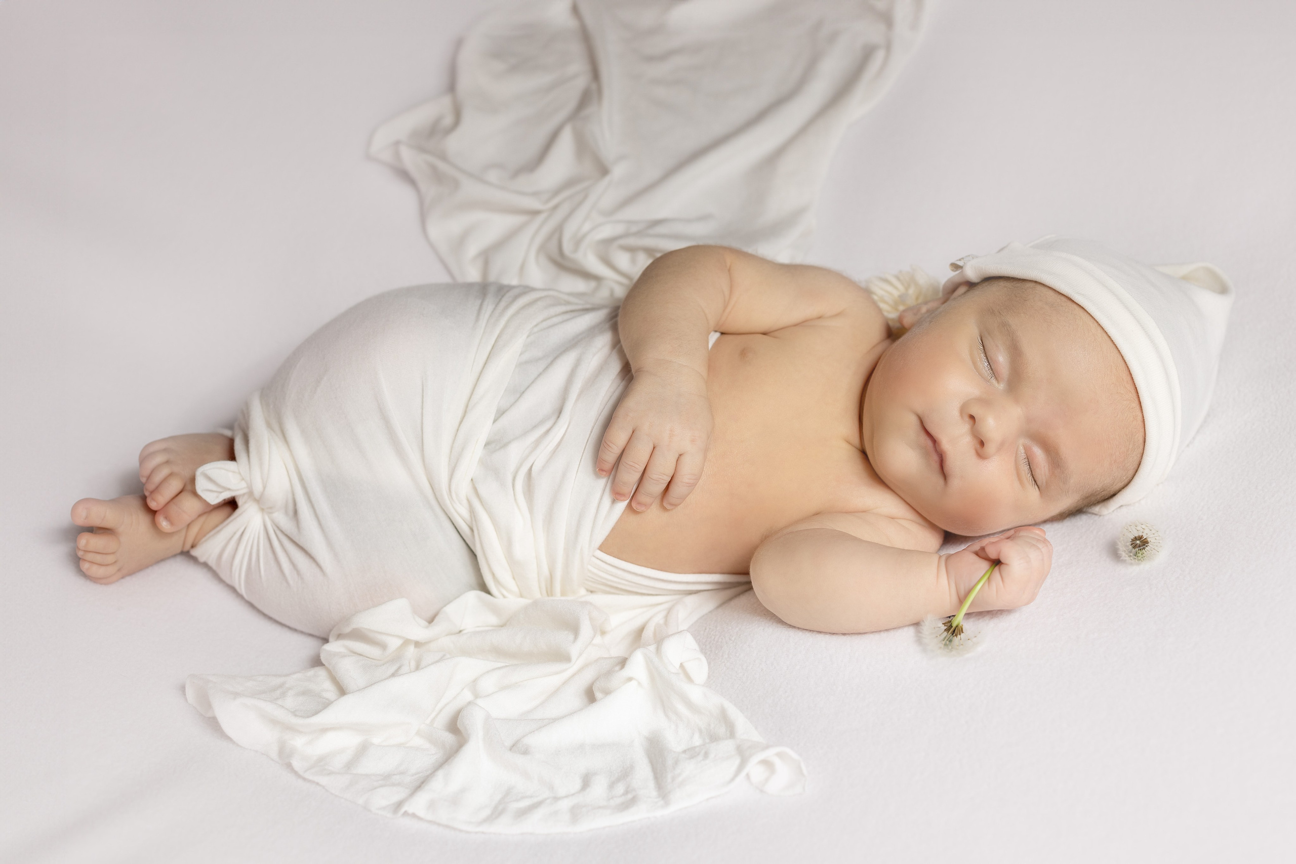 Лев. Ольга SHREIBICUS — Фотография беременности и новорожденных Оренбург