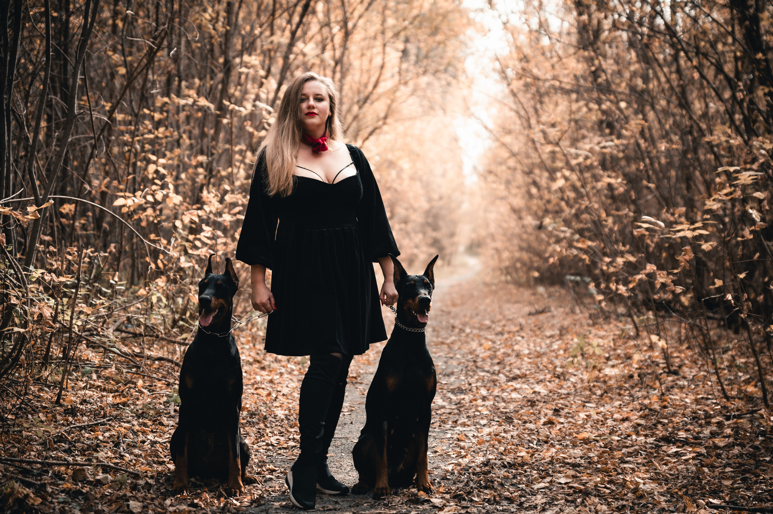 Съемка с доберманами. Фотограф в Новосибирске