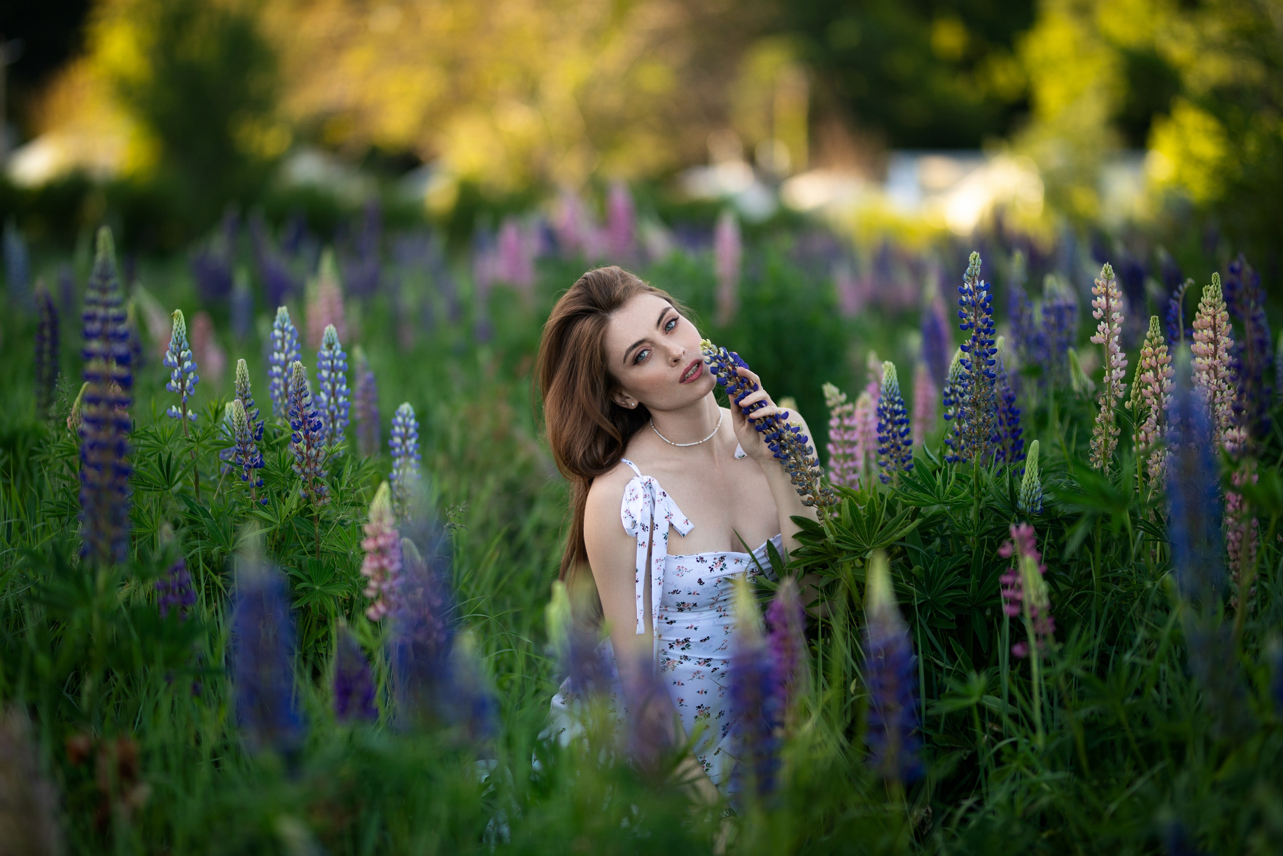 Фотосессия с Надеждой с люпинами в формате «для себя». Дмитрий Шульгин, портретный фотограф в Воронеже