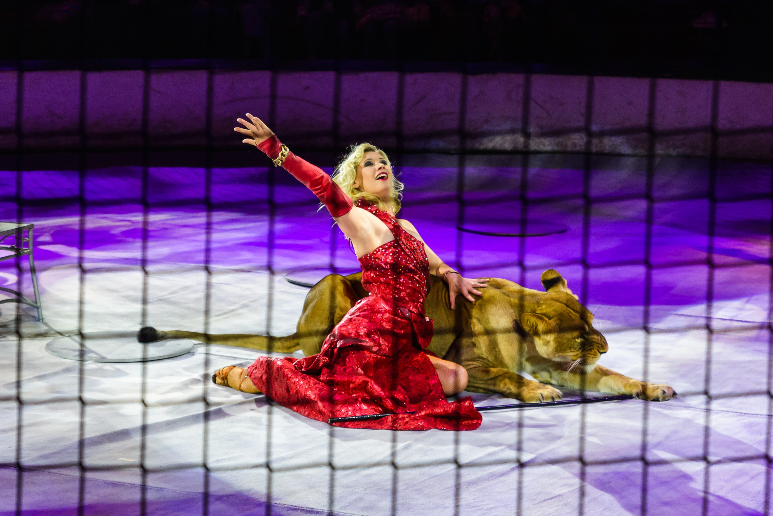 Пермский государственный цирк. Фотограф в Ханты-Мансийске Евгений Жуланов