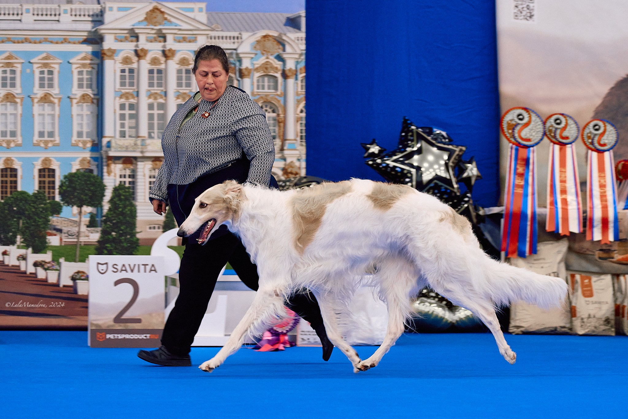 05.05.2024 | "Отечество нам Царское село"