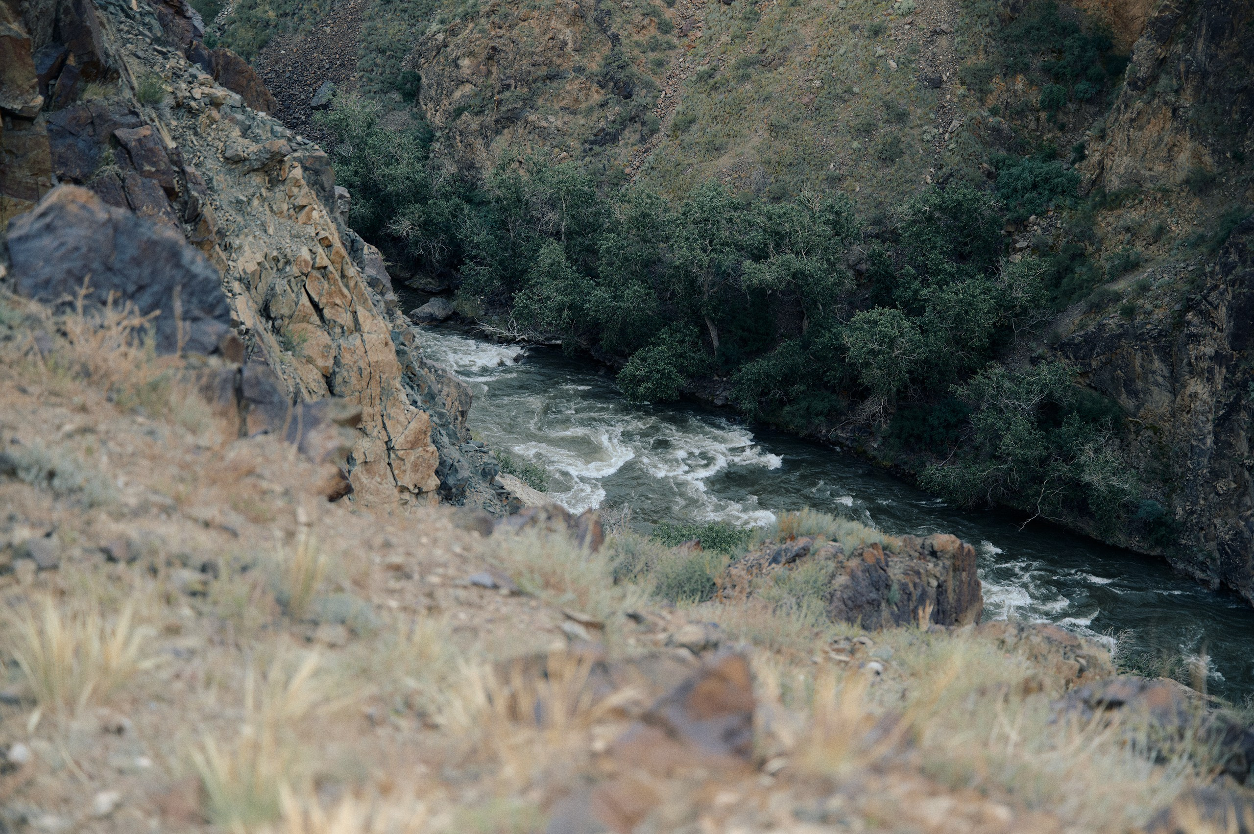 2025 — путешествия на цифру. Photographer in Almaty — Alexey Konkov | Reportage, Weddings, Portraits, Love Story