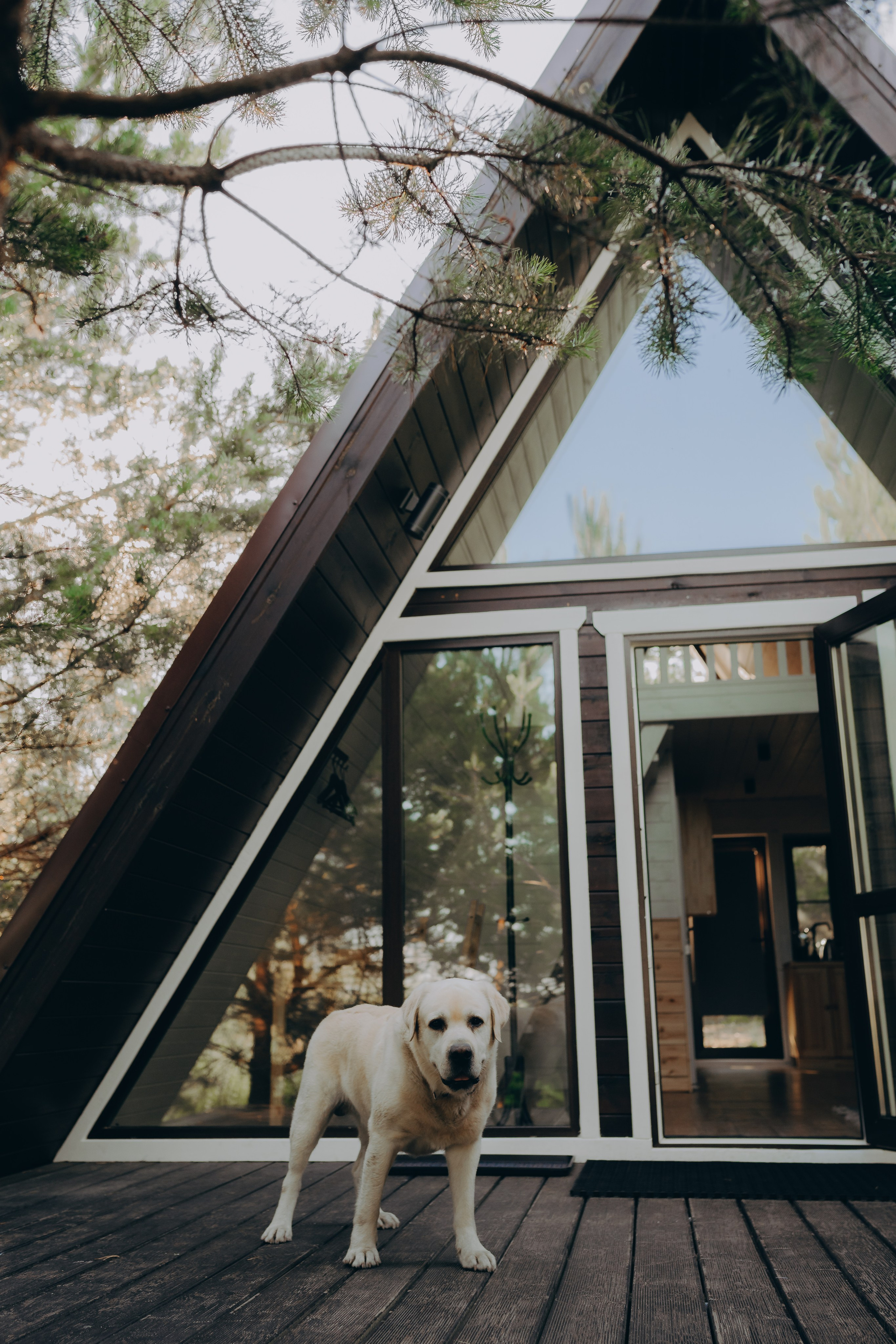 Глемпинг Шалаш. Фотограф Торопец Кристина Абрамова Kanwellia photography