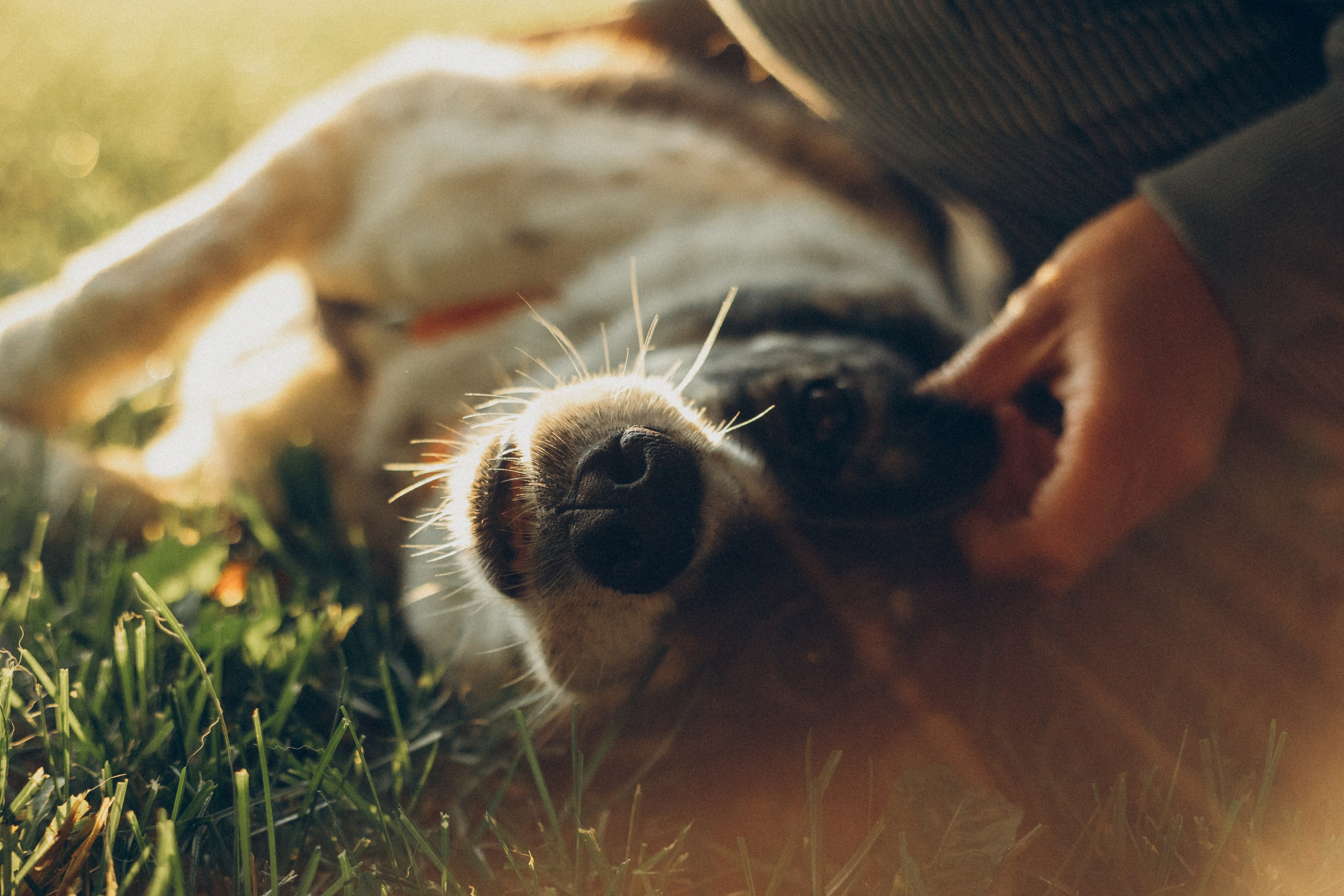 Варя и Зося. Татьяна Афонина | Фотограф