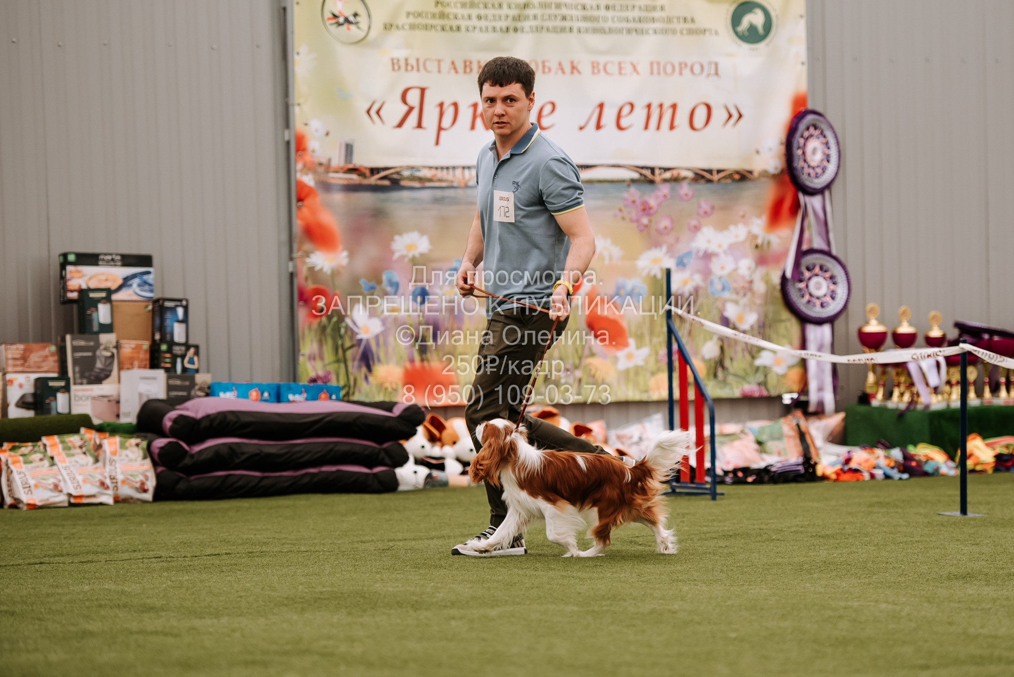 Выставка собак Красноярск 2.06. Фотограф Диана Оленина Красноярск / Братск
