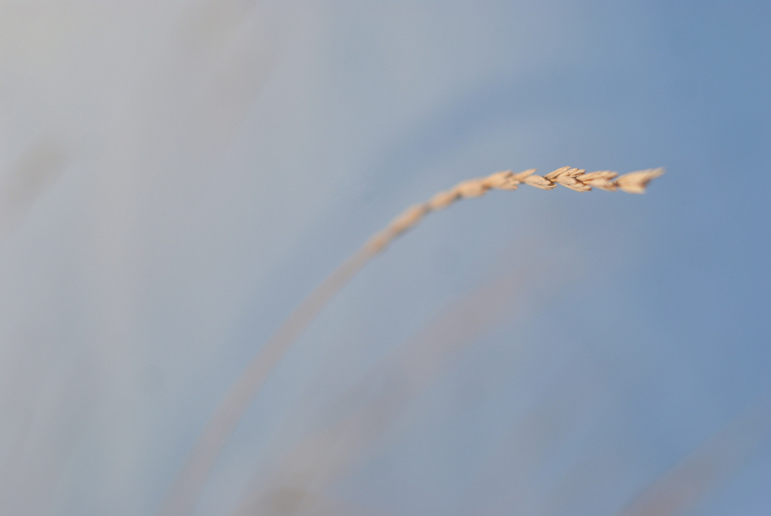 Этот прекрасный мир