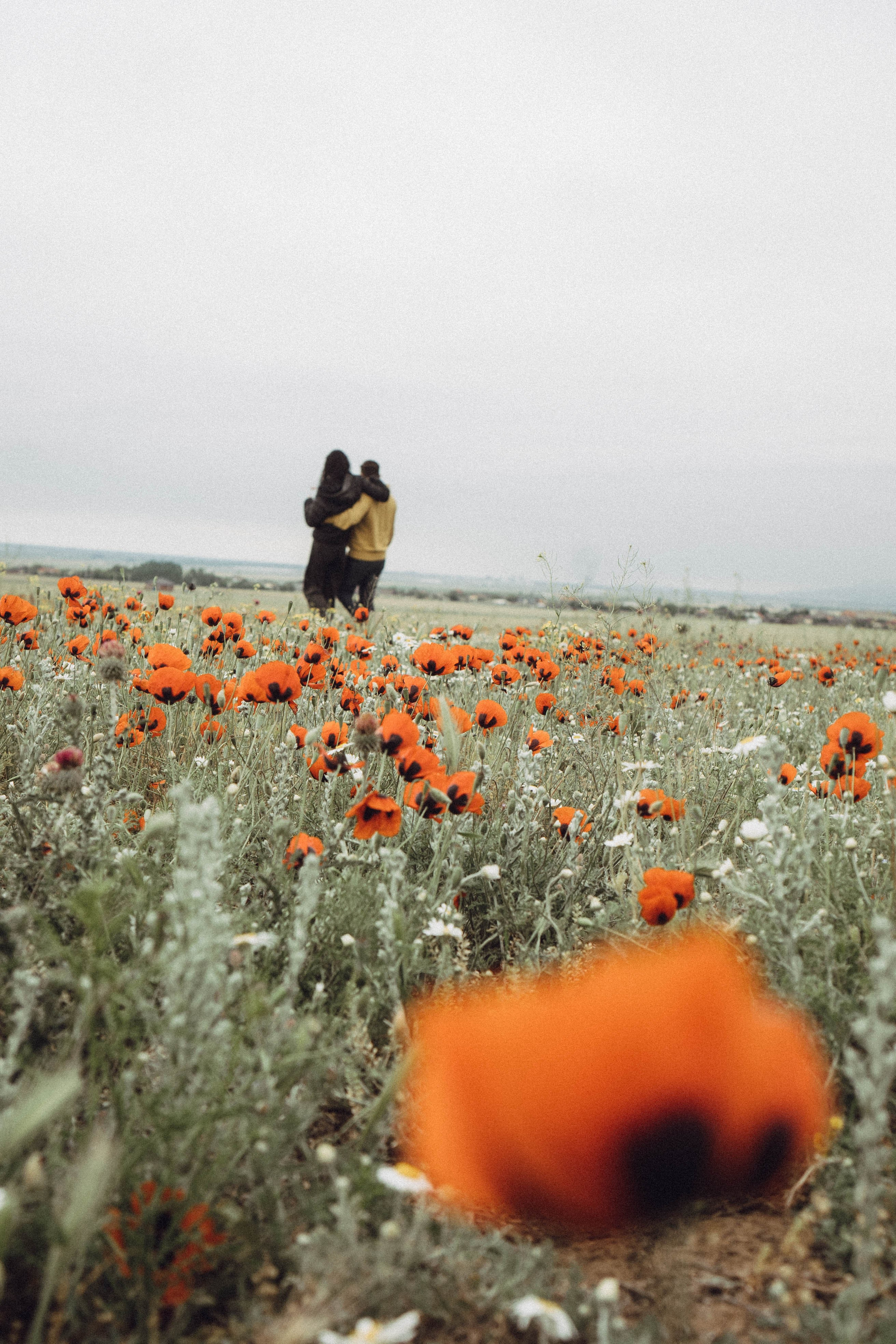 Любовь в маковом поле. Профессиональный фотограф, Санкт-Петербург — Виктория Богомолова