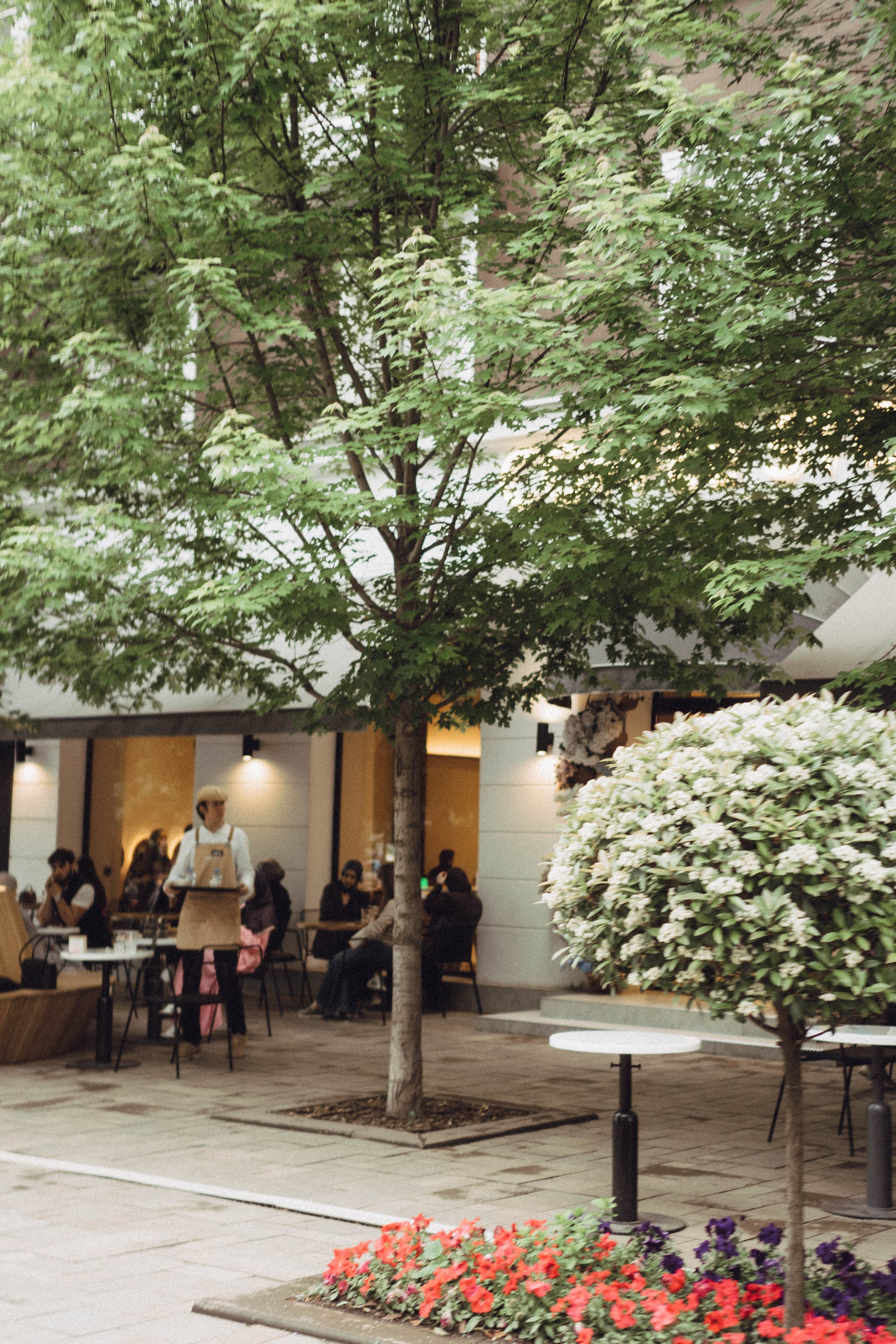 Кавказ. Профессиональный фотограф, Санкт-Петербург — Виктория Богомолова