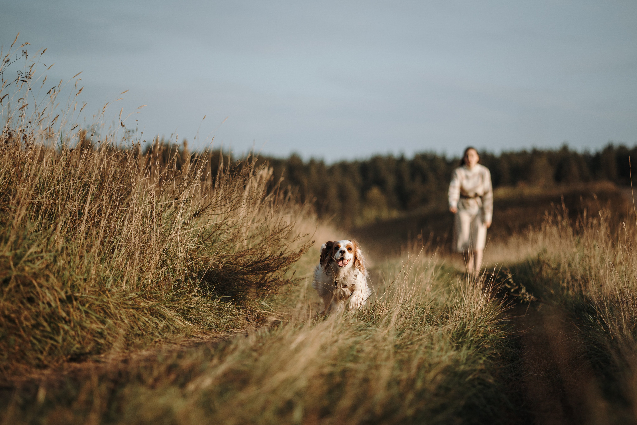 Влада и Белла. Фотограф — Анималист | Санкт-Петербург