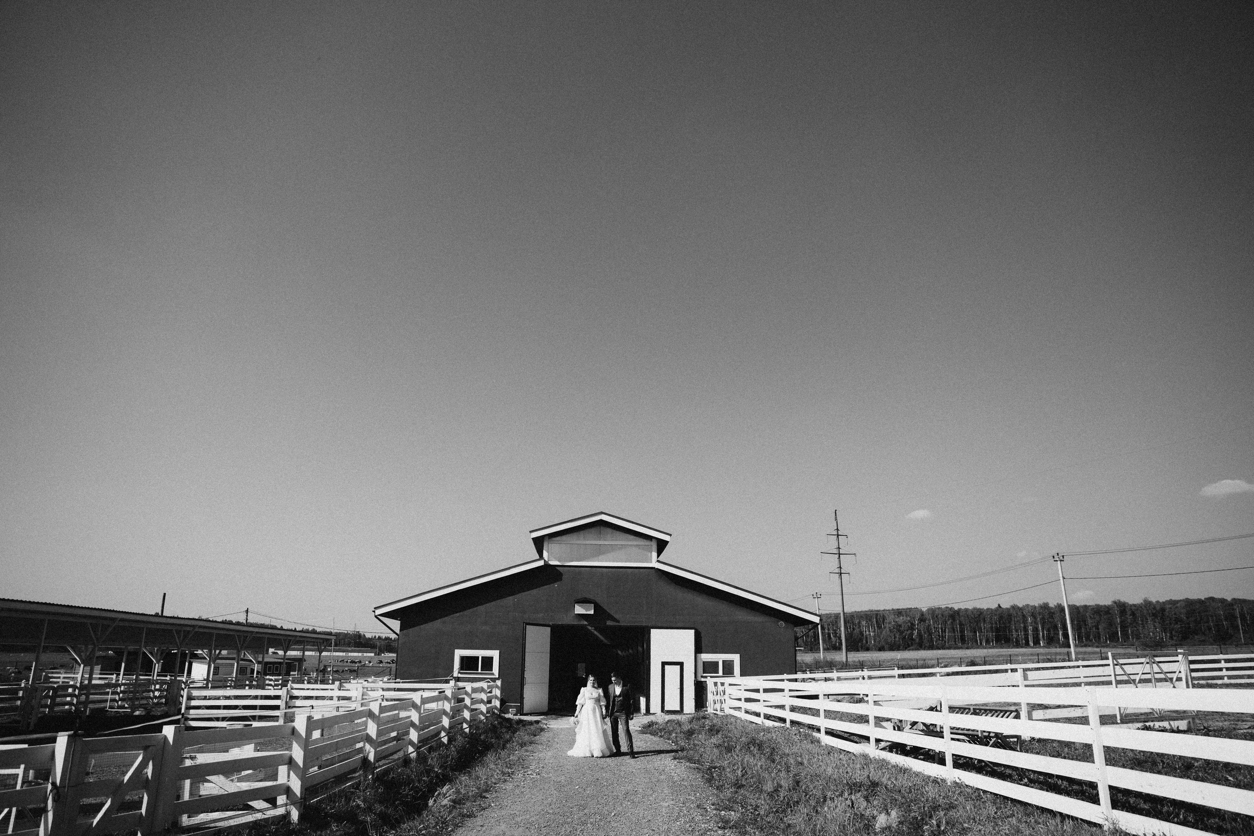 Полина и Саша | Ранчо. Свадебный фотограф Ангелина Зотова | Обнинск, Москва, Калуга