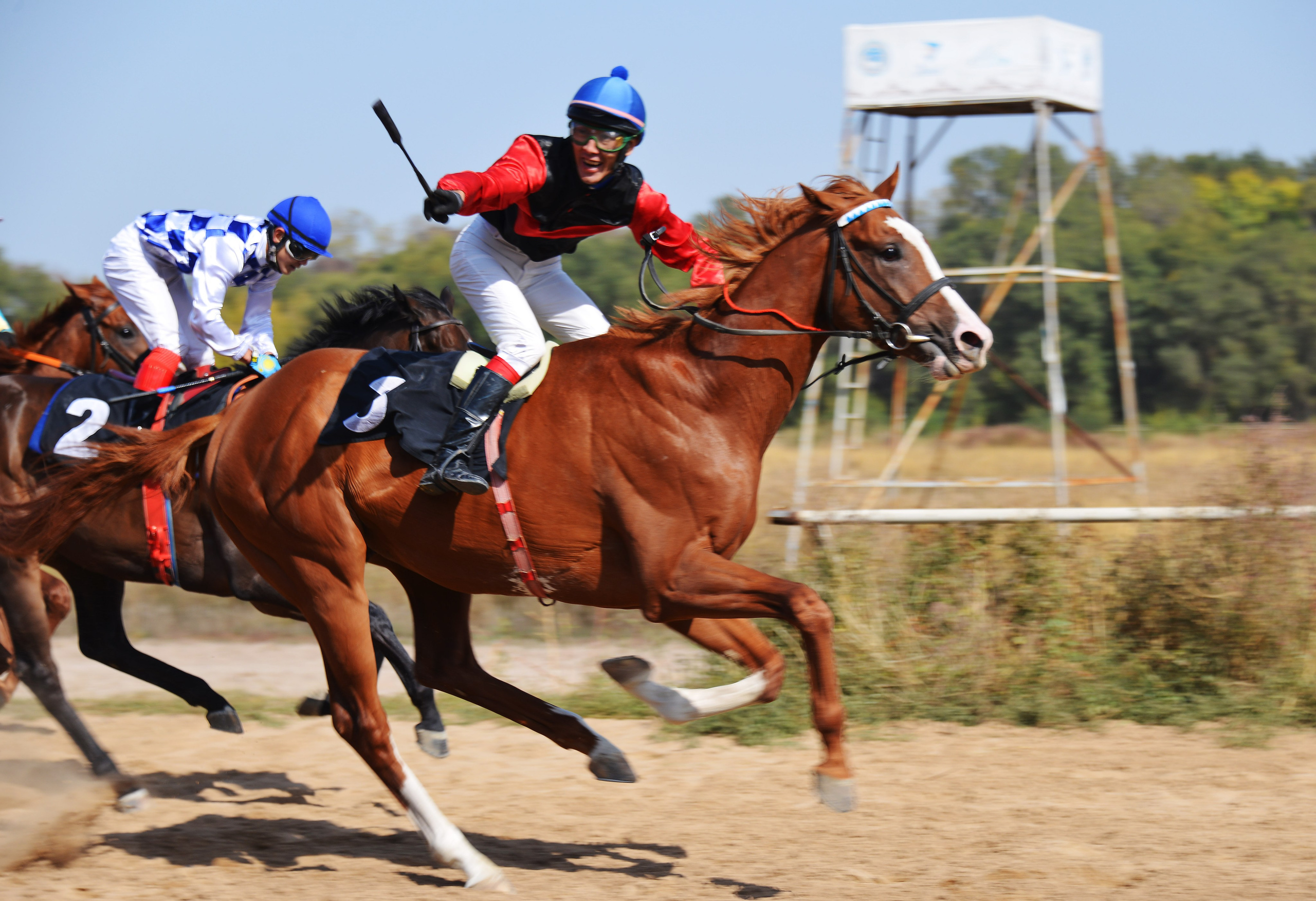 Скачки. Фотосъёмка. Фотограф Сергей Авдеев-семейный и детский фотограф в Алматы