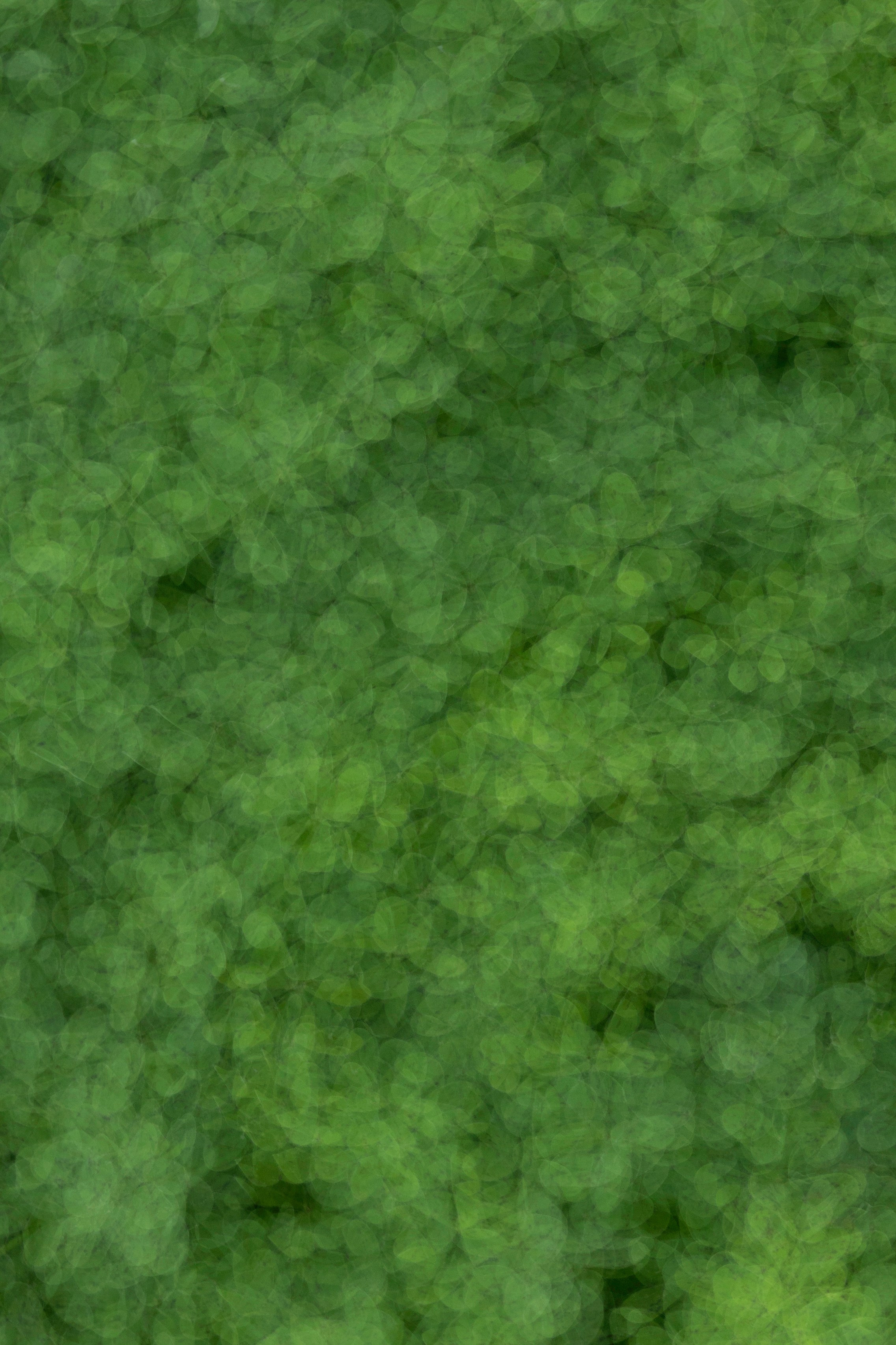 Art prints. Фотограф алина стерхова, алина стерхова фотограф, фотограф москва