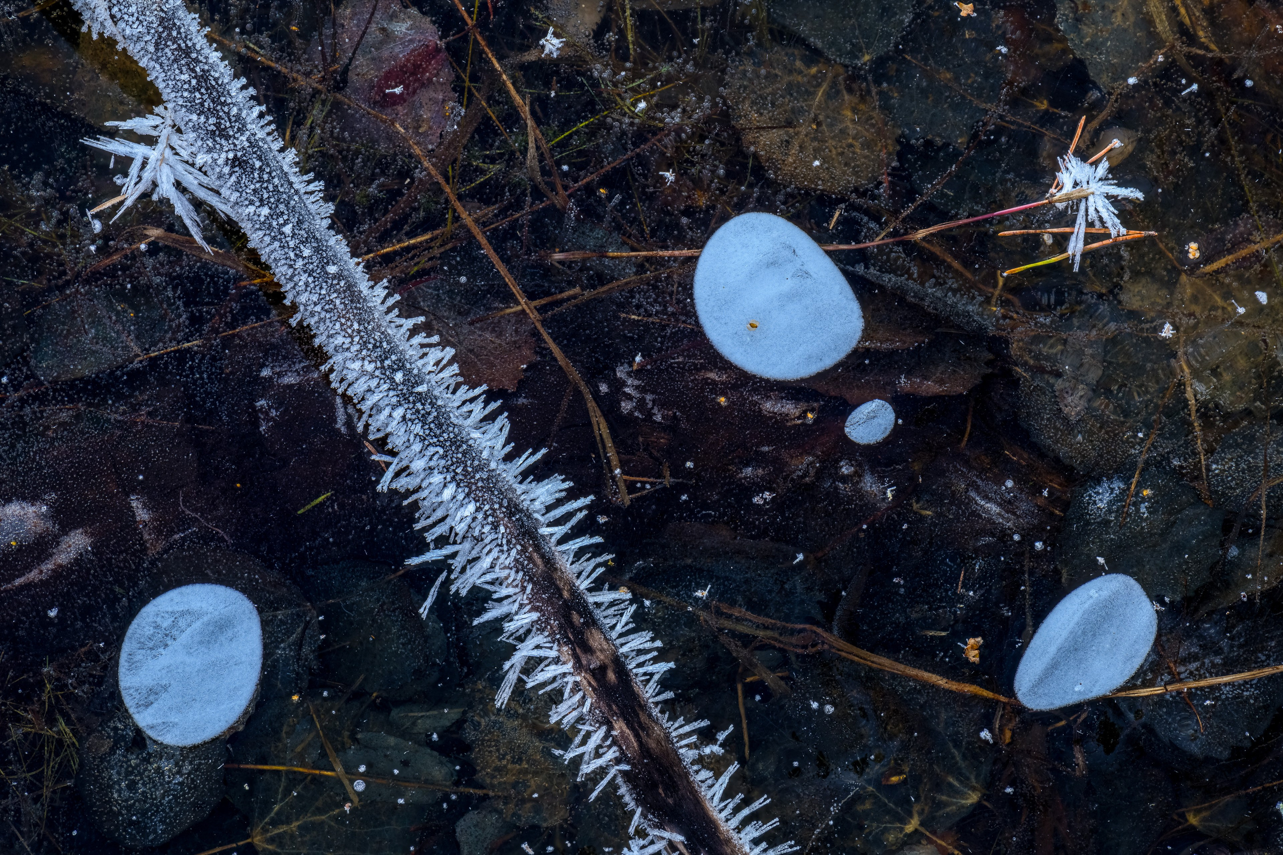 Könkäänsaari. Северные Ночи