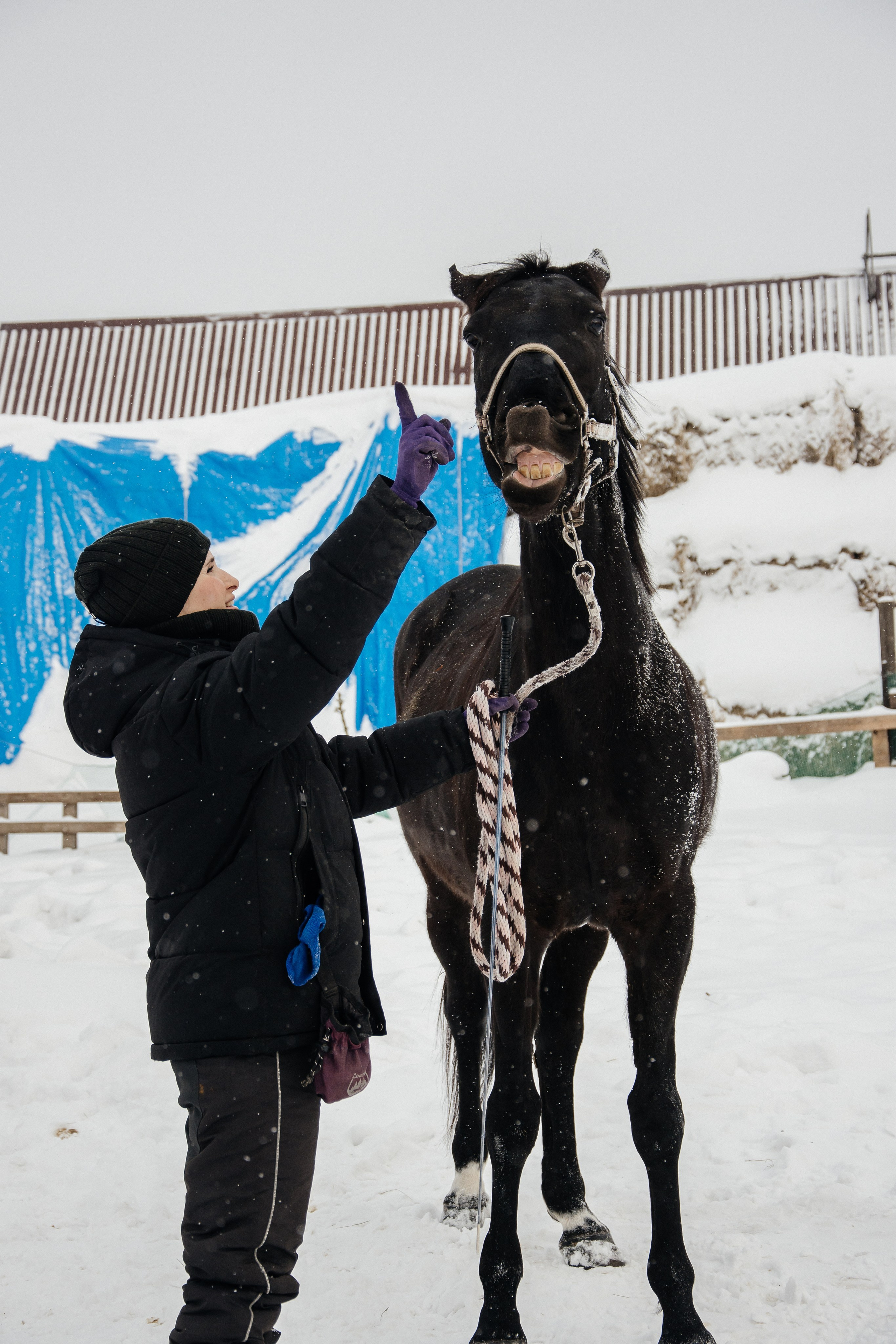 Детская прогулка. Фотограф на все случаи