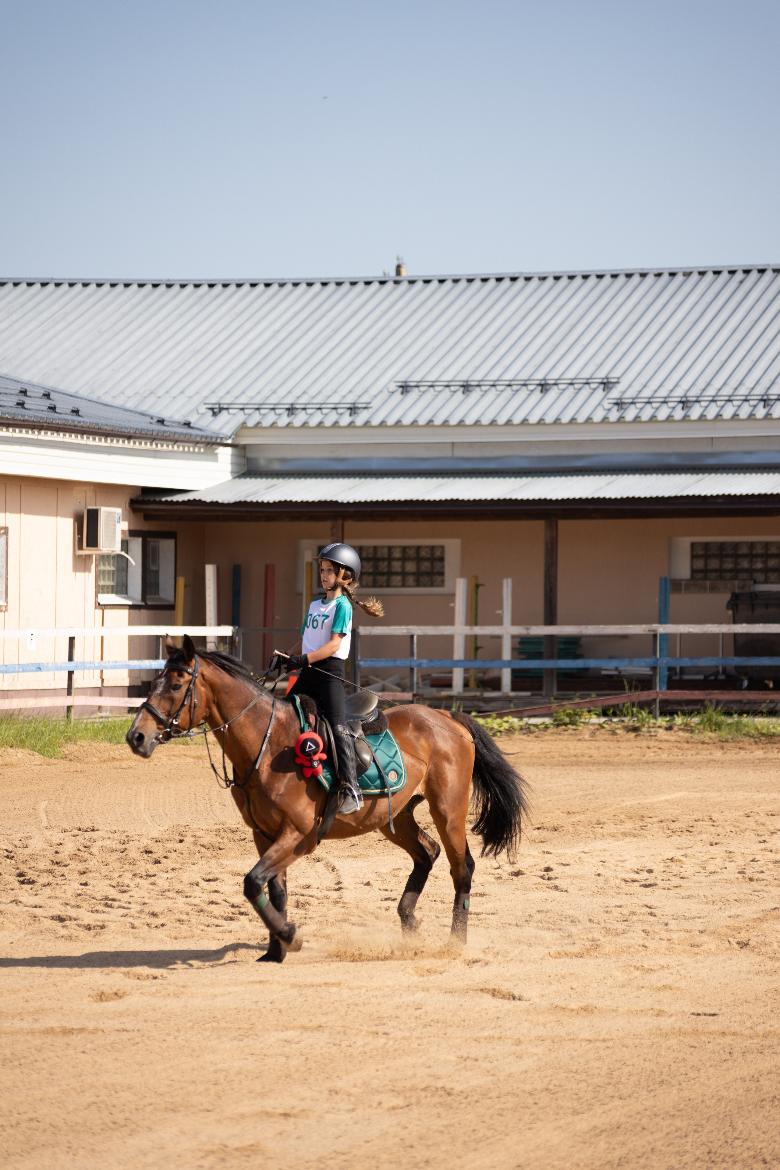 Конюшня. Фотограф в Москве и Истре