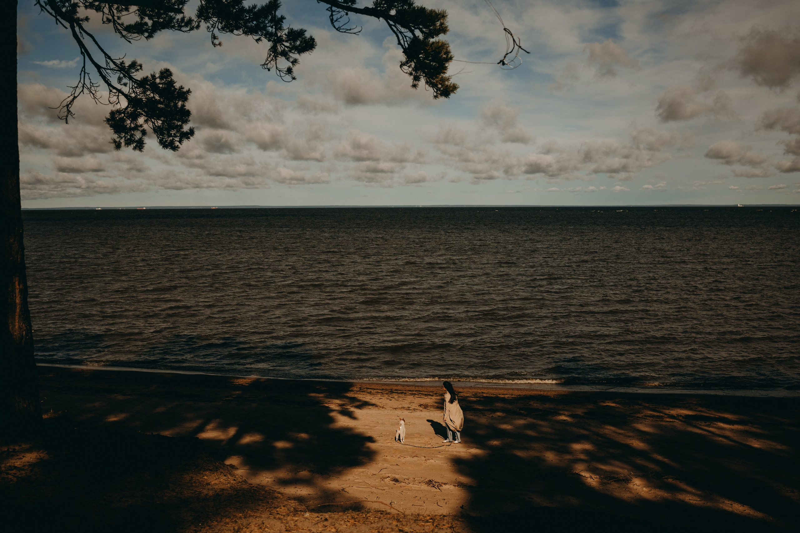 Алиса и Лео. Фотограф — Анималист | Санкт-Петербург