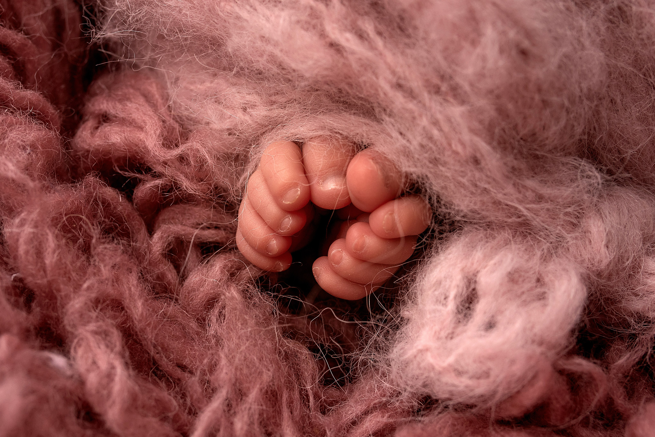 Новорождённые девочки. Детский фотограф новорождённых в Минске Боровик Екатерина