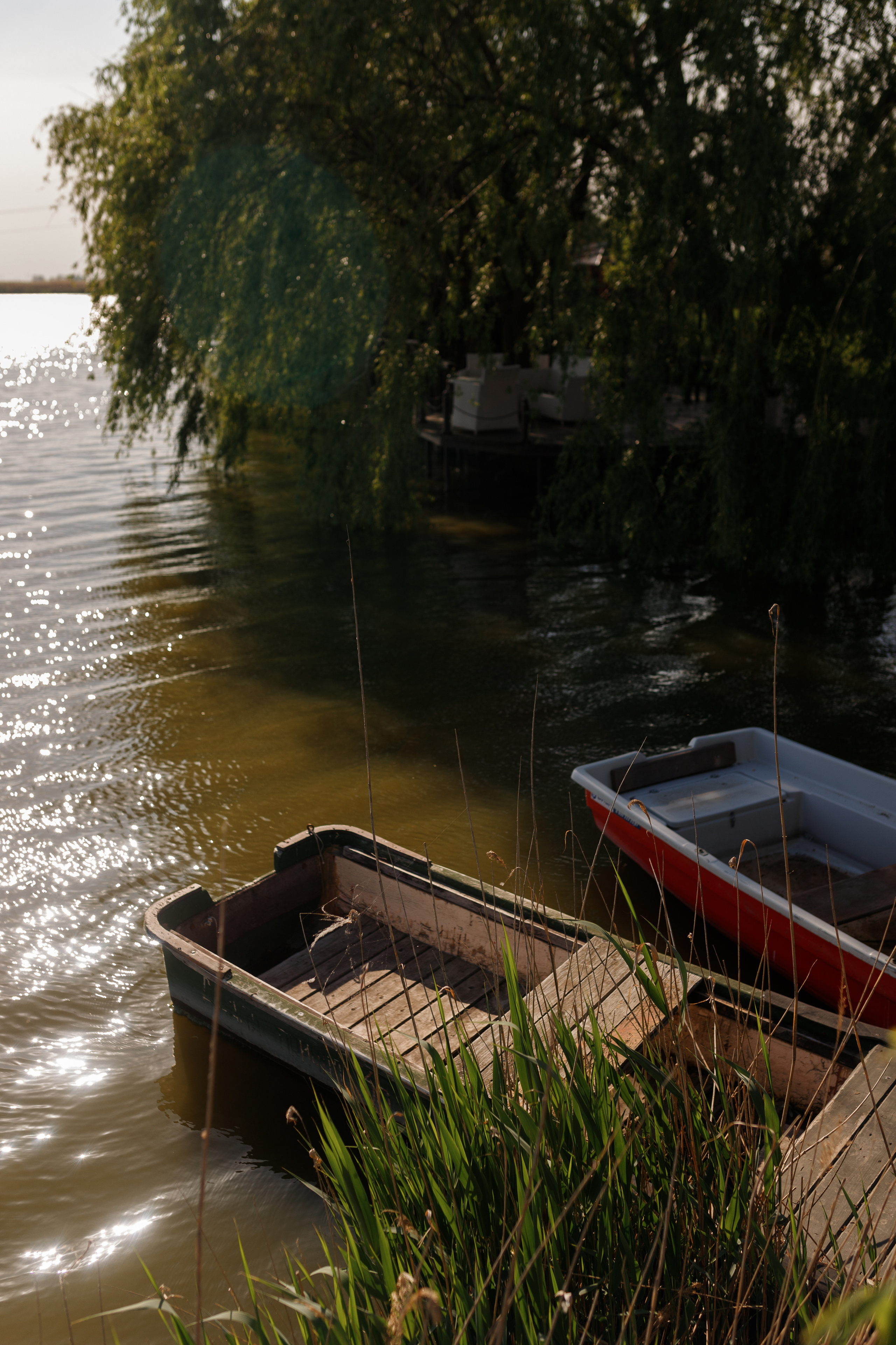 Анна Happy B-Day. Семейный и женский фотограф в Краснодаре Виктория Гупало