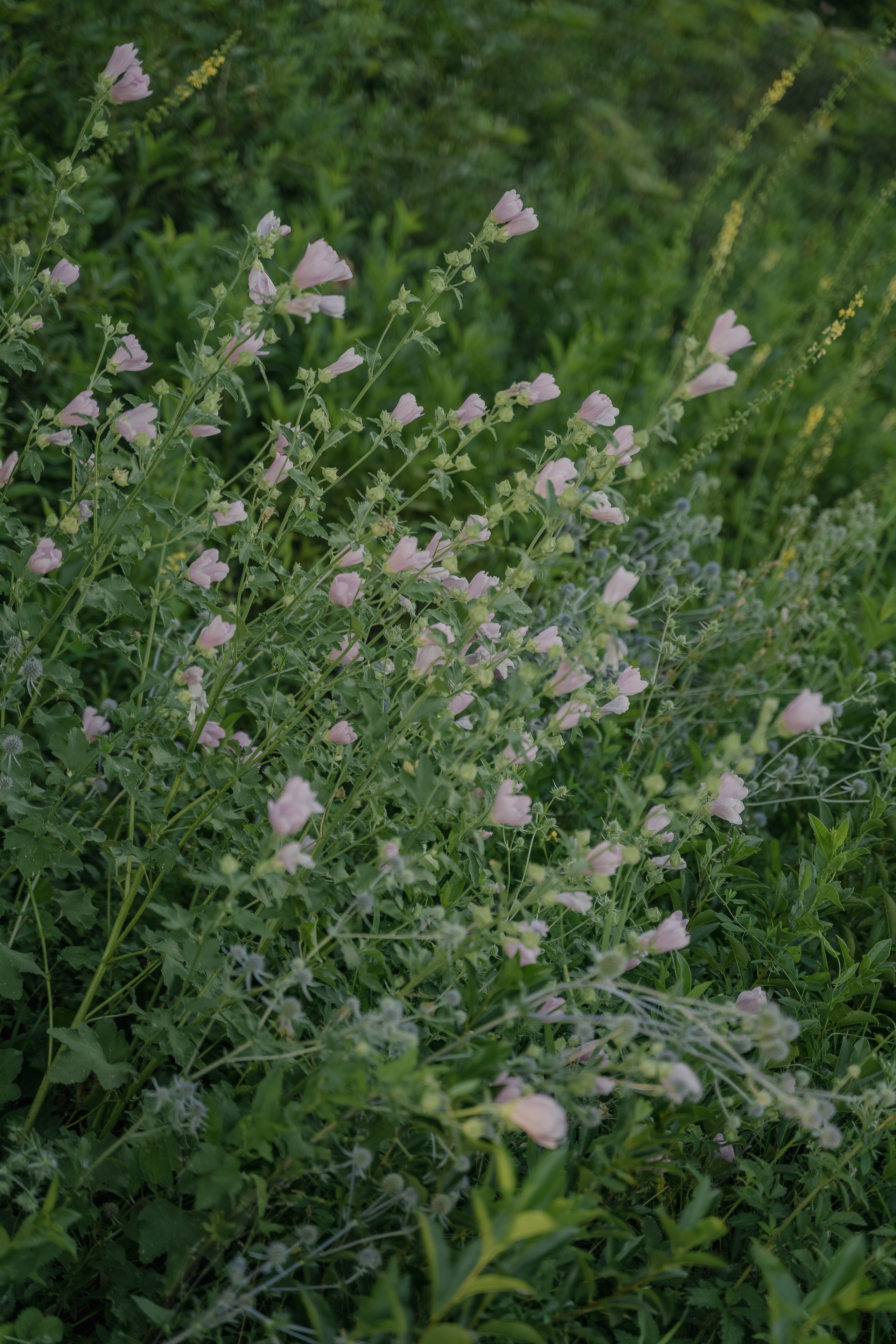 Юлия Антон Артём Егор. Свадебный семейный фотограф Ксения Божко Уфа Раевка никах в Нарыстау