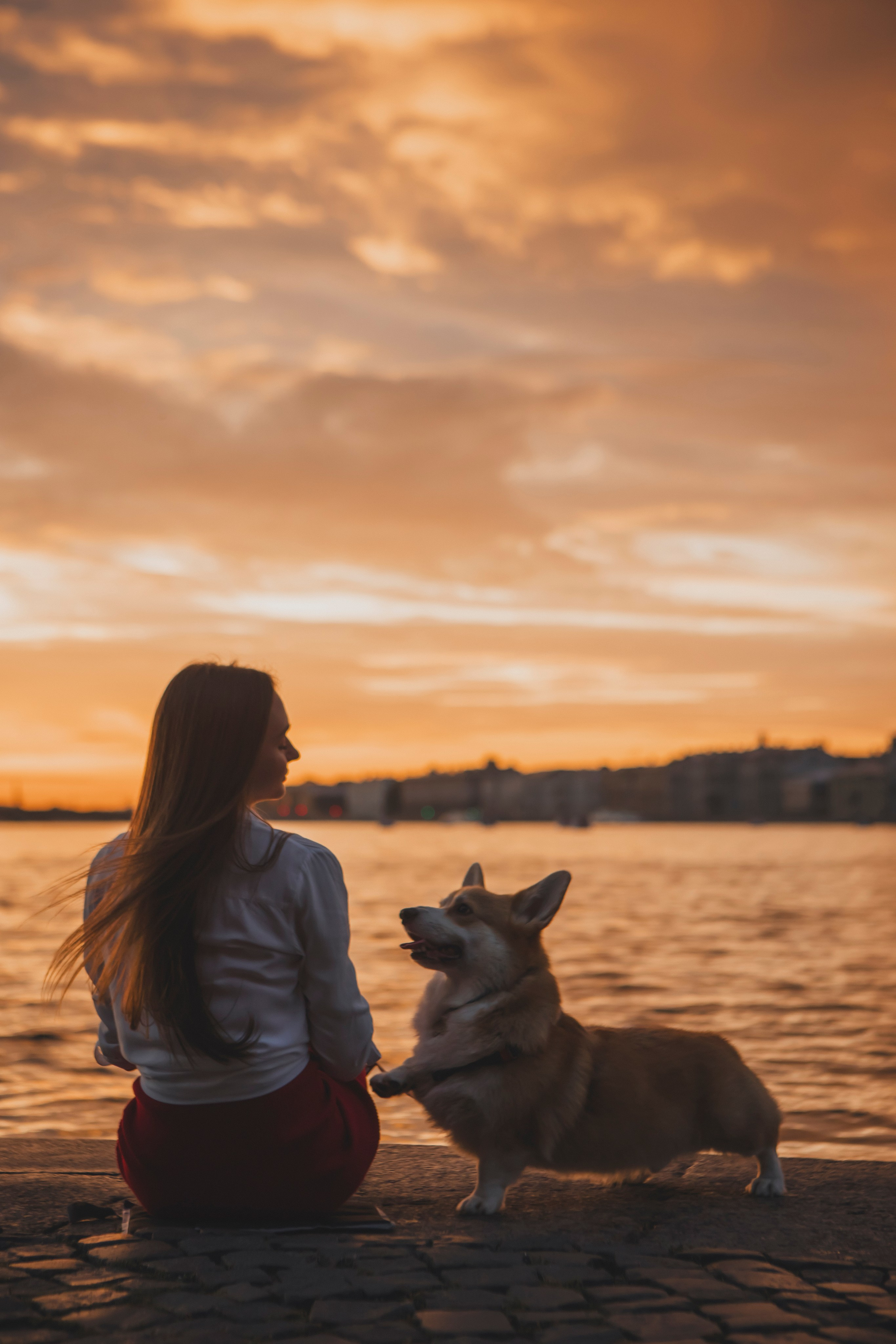 Настя и Стёпа. Фотограф-анималист в Санкт-Петербурге Алина Яхонт