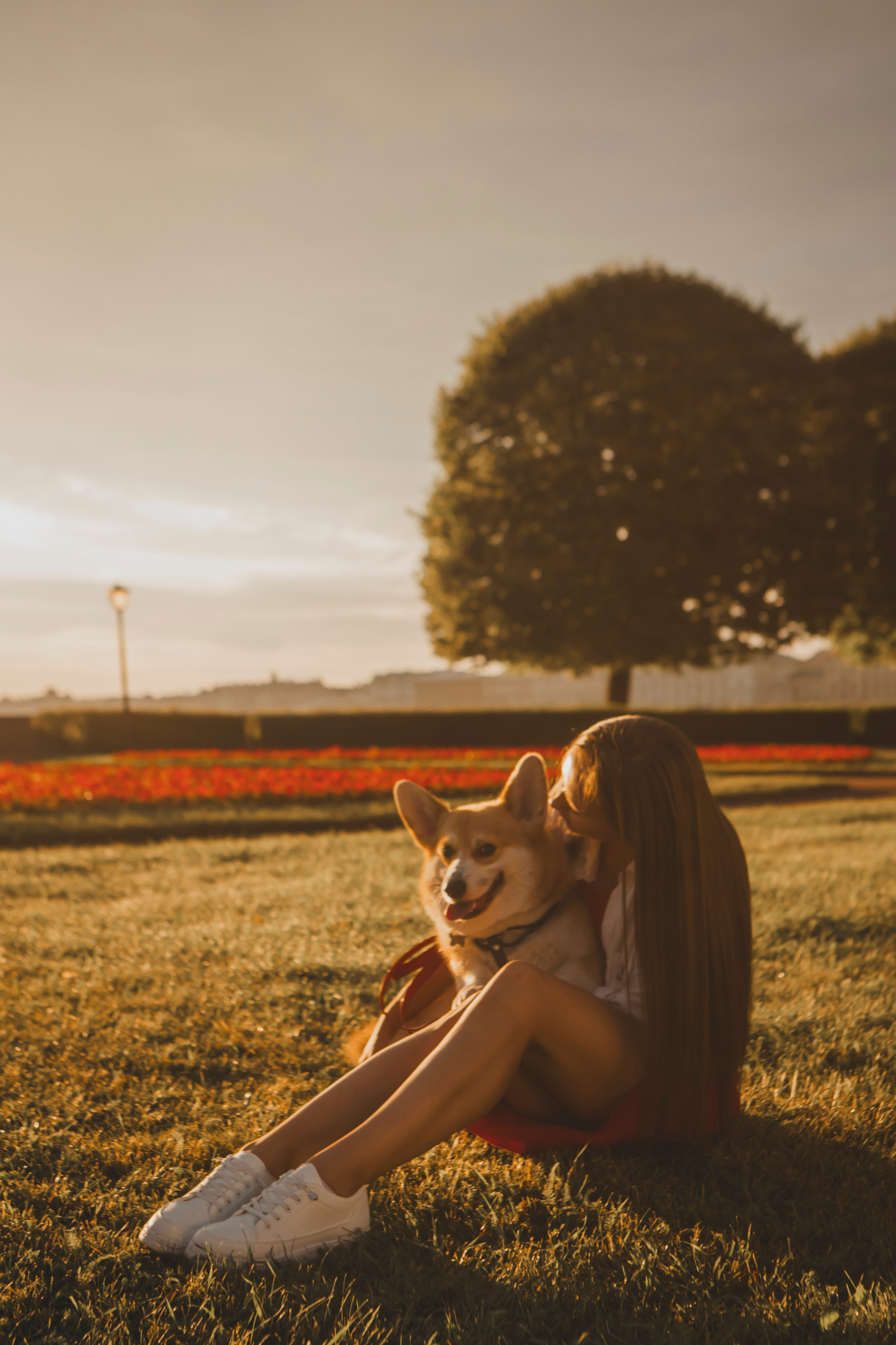 Настя и Стёпа. Фотограф-анималист в Санкт-Петербурге Алина Яхонт