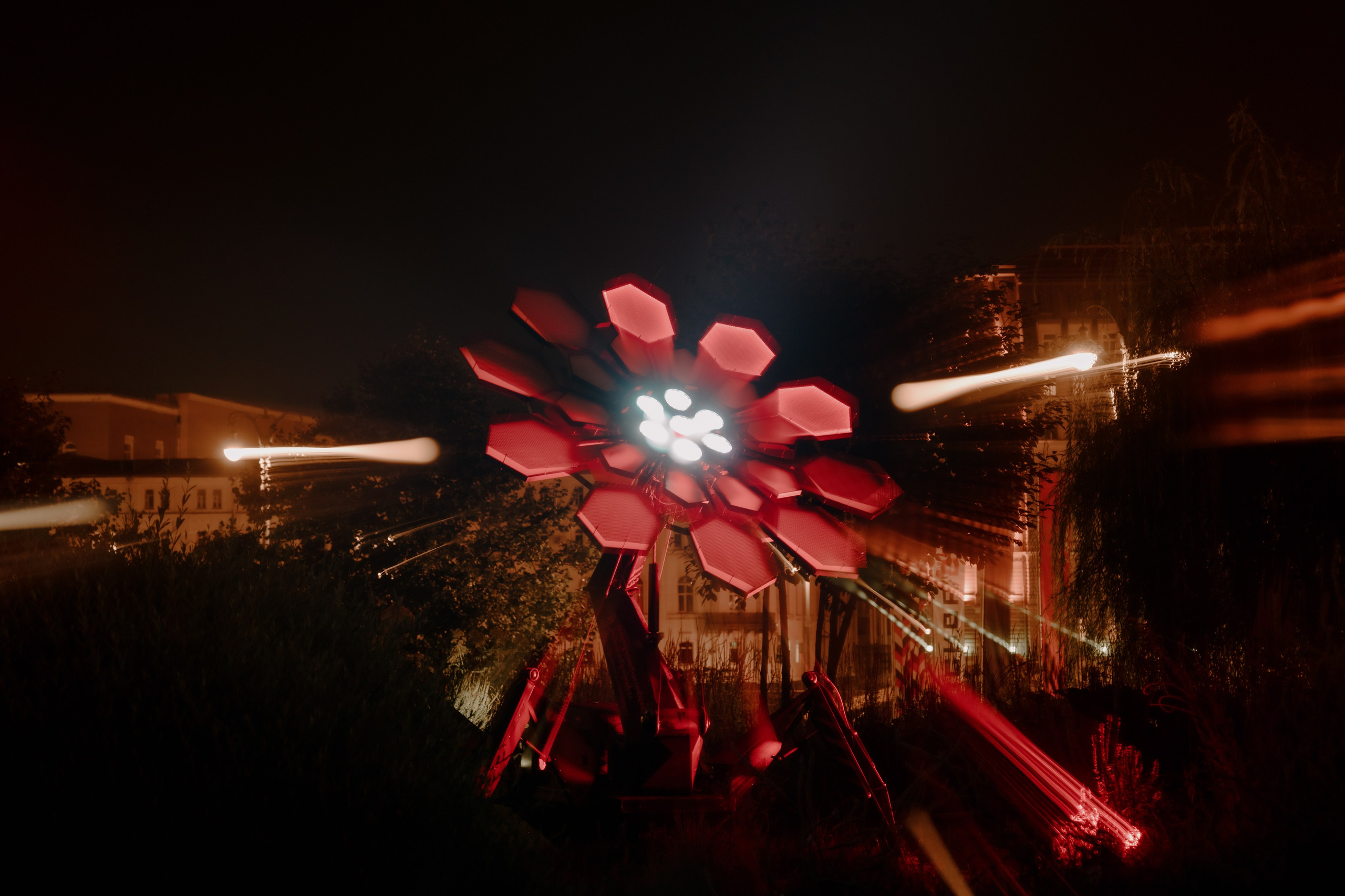 PANTERRA, Cyber Flower. @tomrus: Рустам Шагиморданов — фотограф